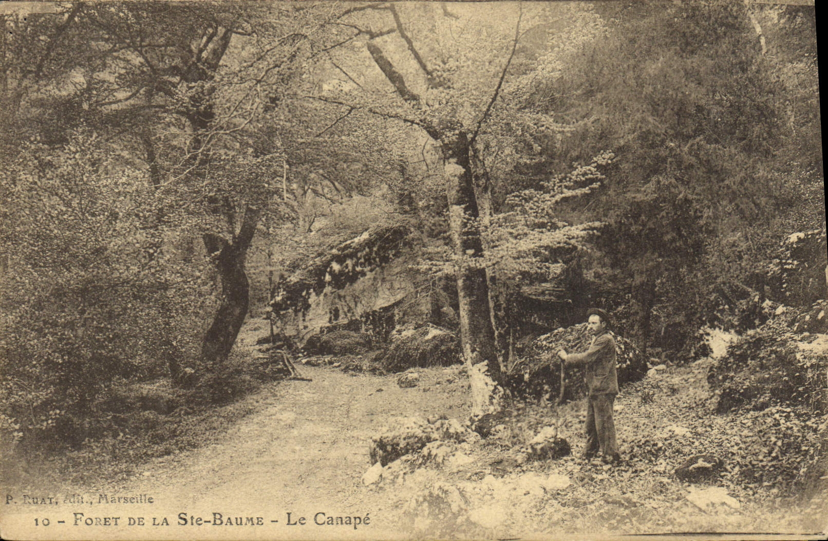 CPA Foret de la Ste Baume Le Canape 