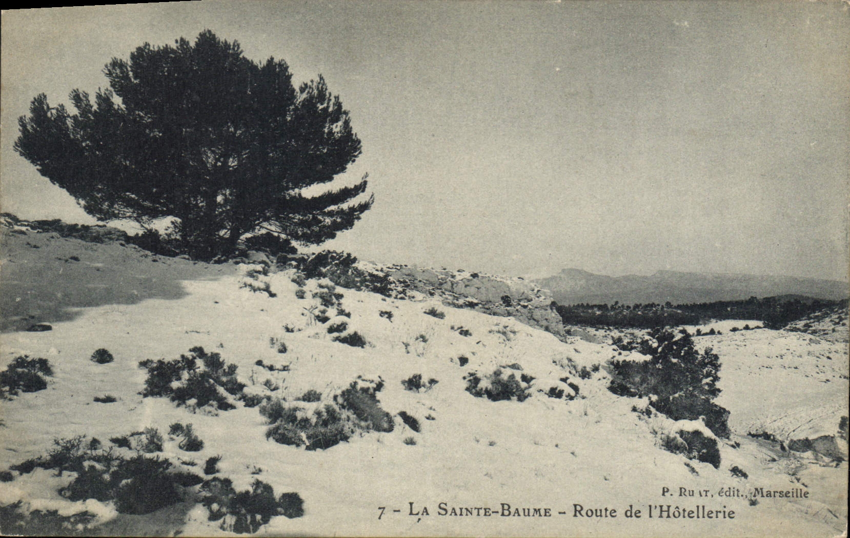 CPA La Sainte Baume Route de L'Hotellerie