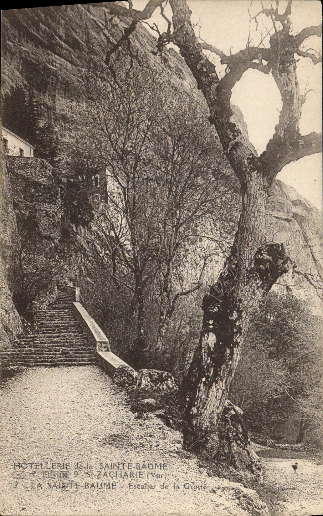 CPA La Sainte Baume Escalier de la Grotte 