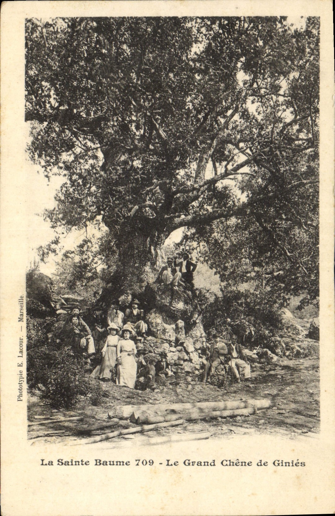 CPA La Sainte Baume Le Grand Chene de Ginles