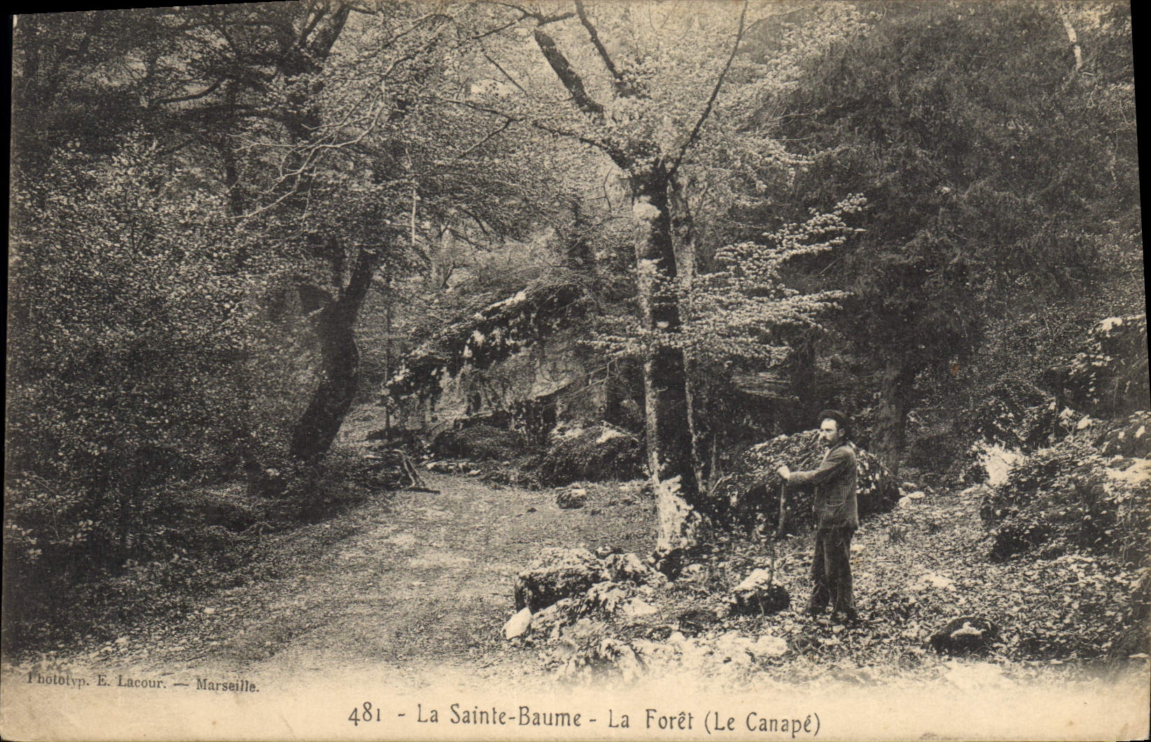 CPA La Sainte Baume La Foret Le Canape
