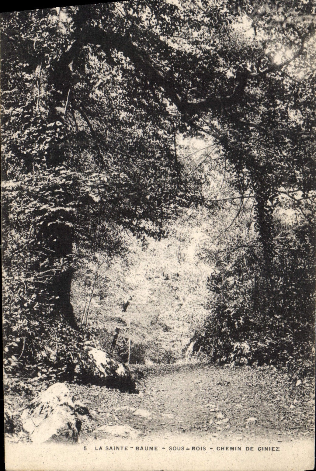 CPA La Sainte Baume Sous Bois Chemin de Giniez 