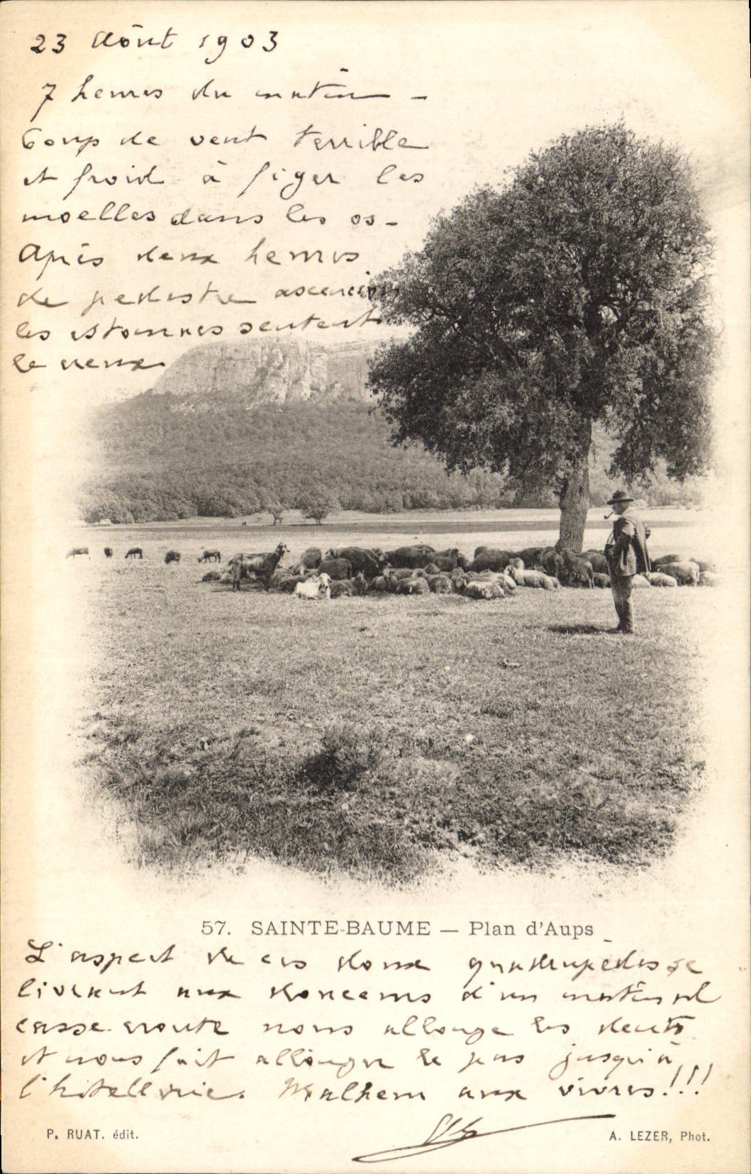 CPA Sainte Baume Plan d'Aups Berger Moutons