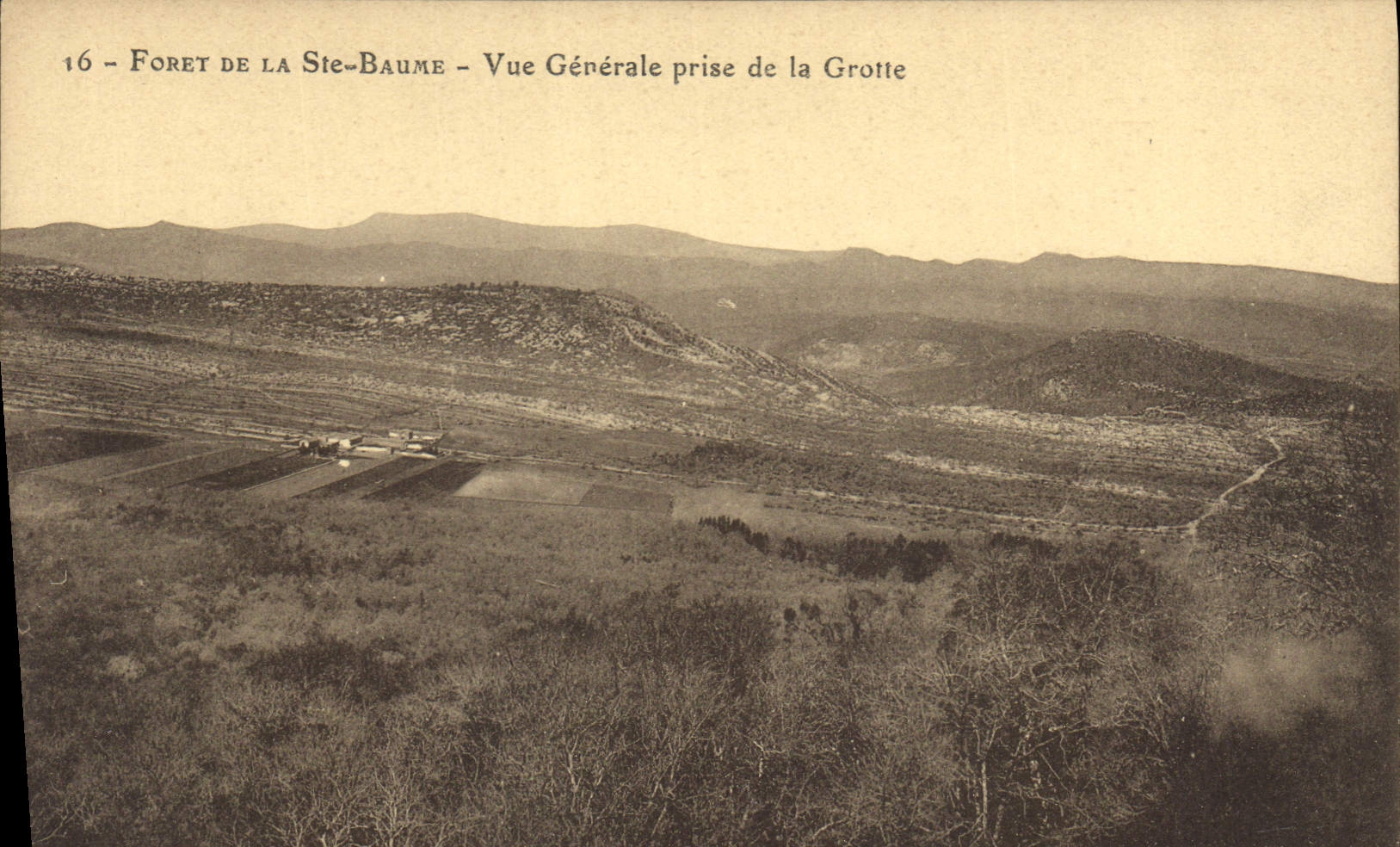 CPA Foret de la Ste Baume Vue Generale prise de la Grotte