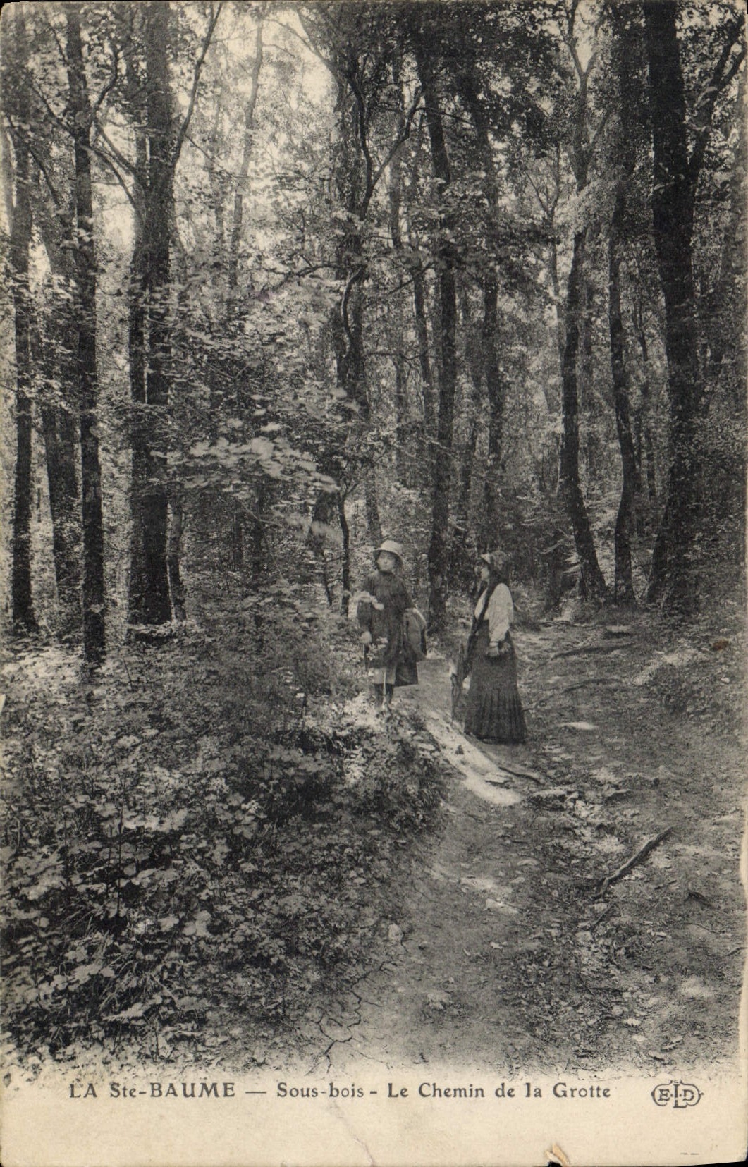 CPA La Ste Baume Sous bois Le Chemin de la Grotte