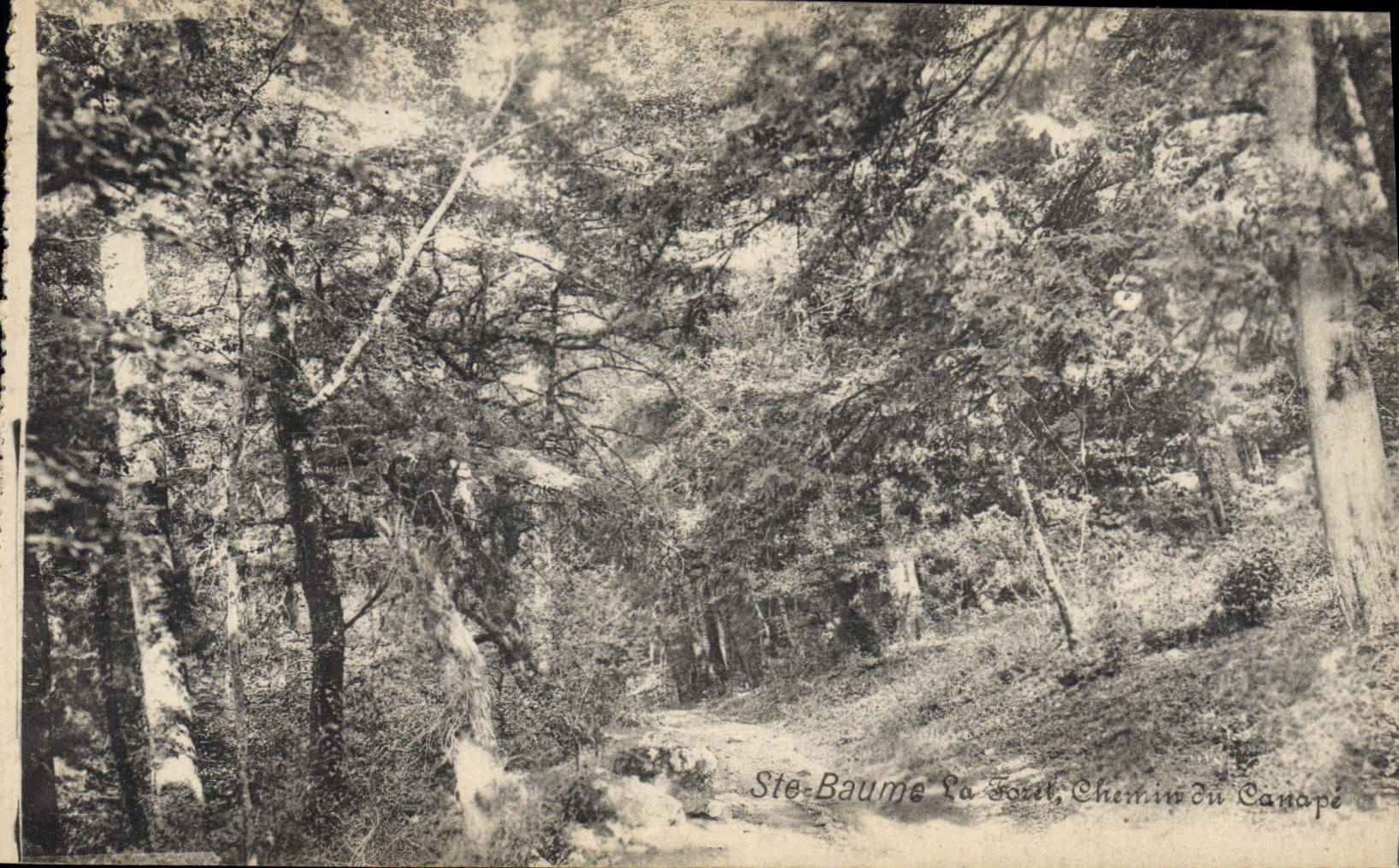 CPA Ste Baume La Foret Chemin du Canape