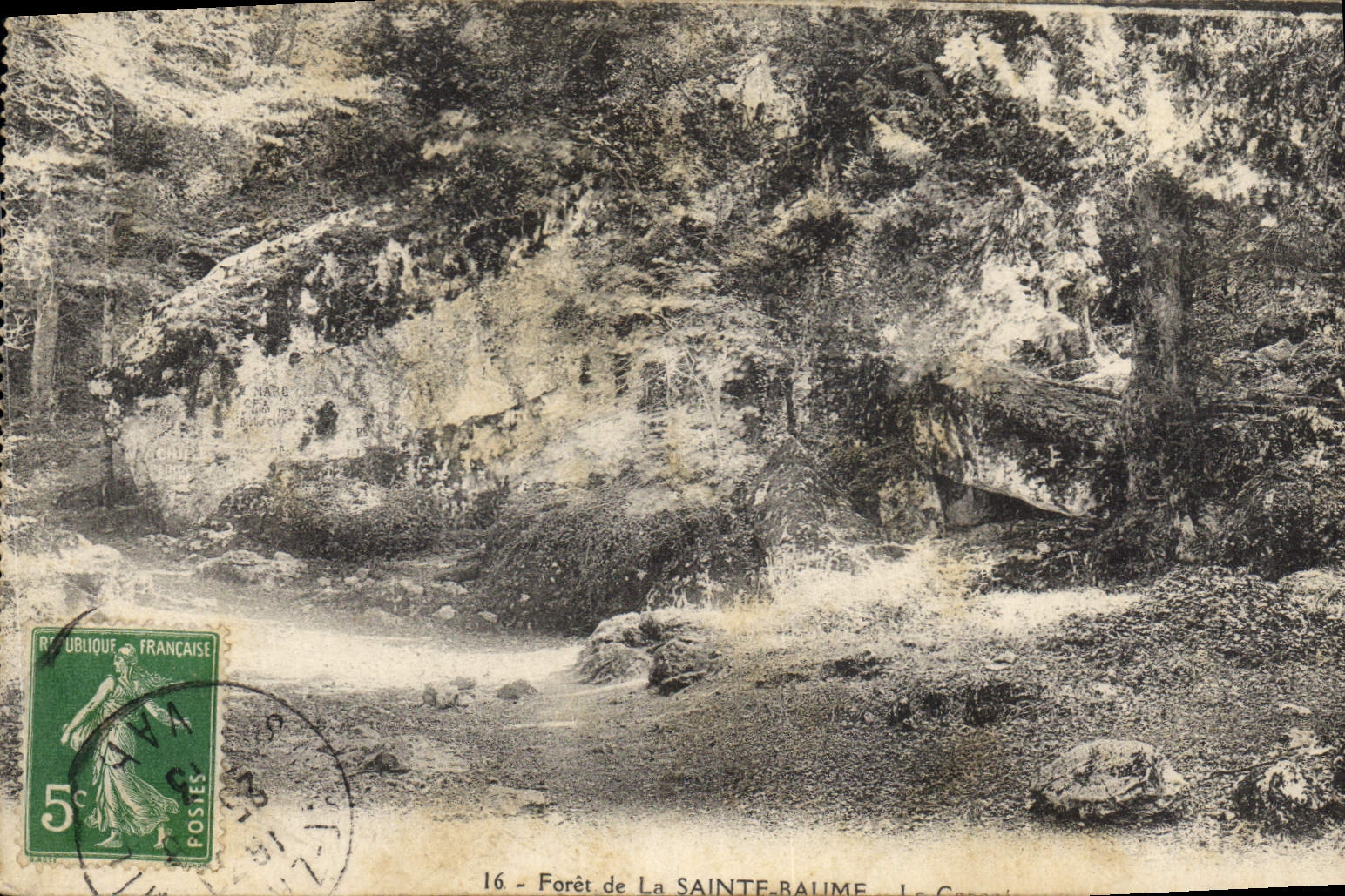 CPA Foret de la Sainte Baume