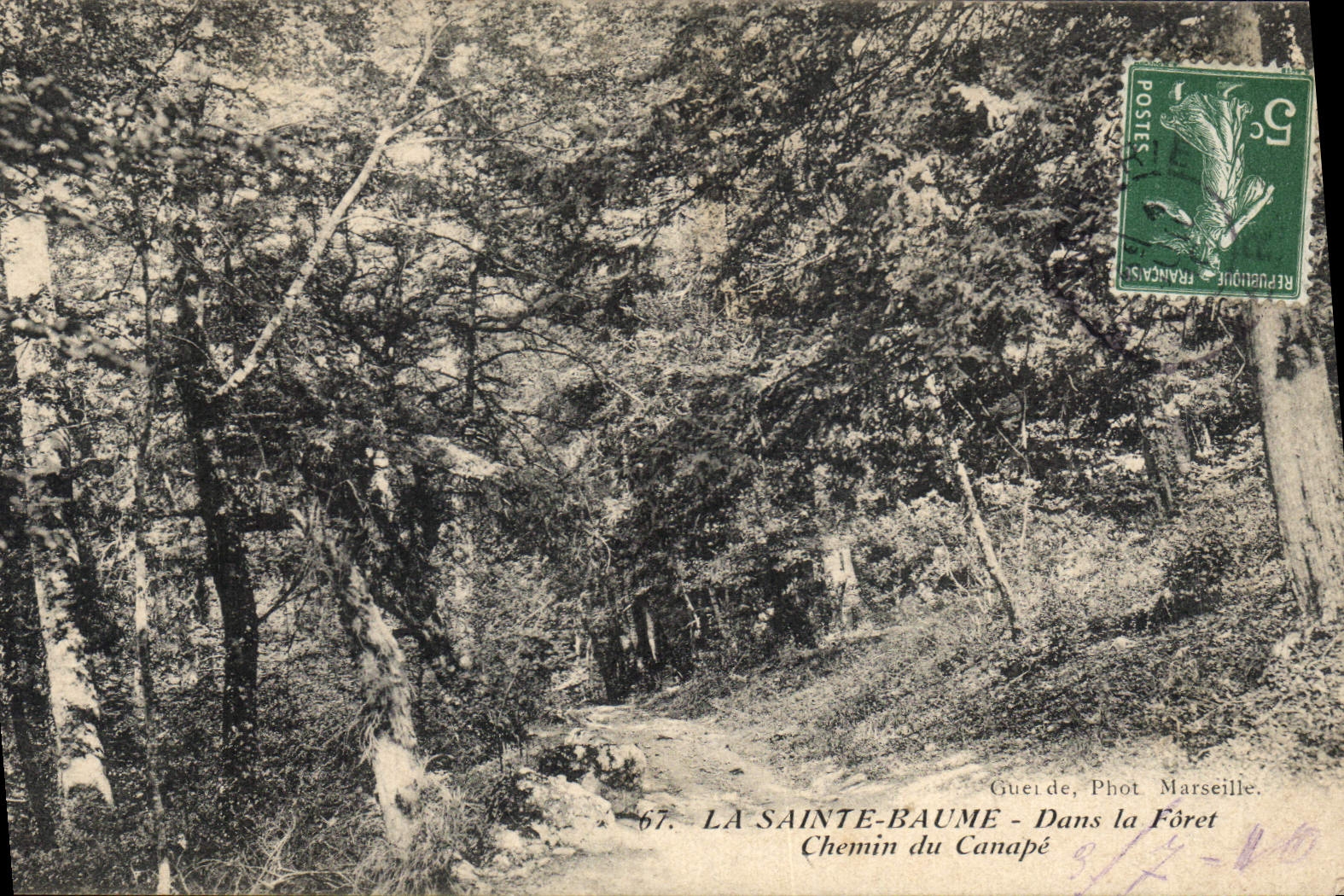 CPA La Sainte Baume Dans la Foret Chemin du Canape