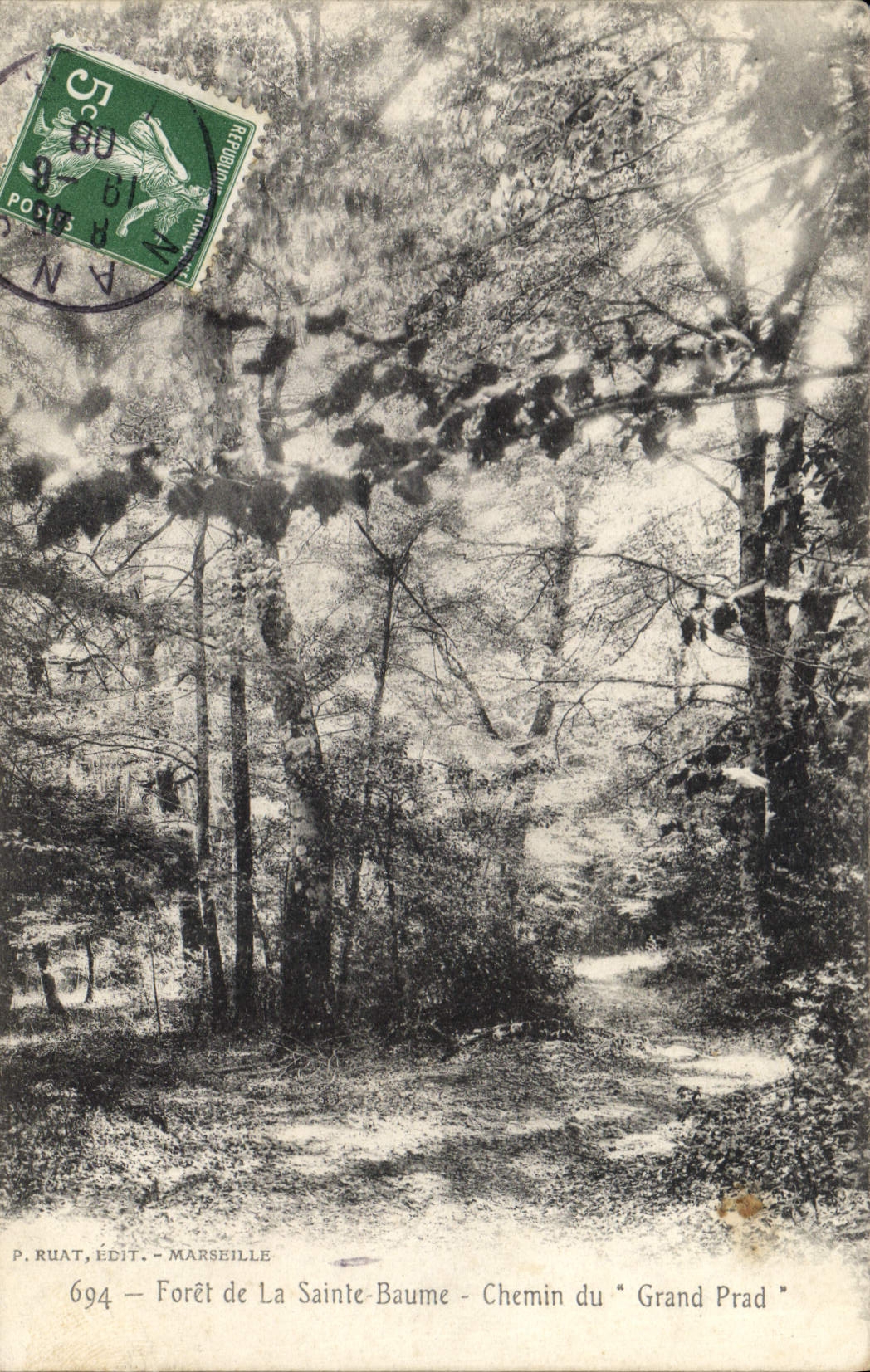 CPA Foret de la Sainte Baume Chemin du Grand Prad