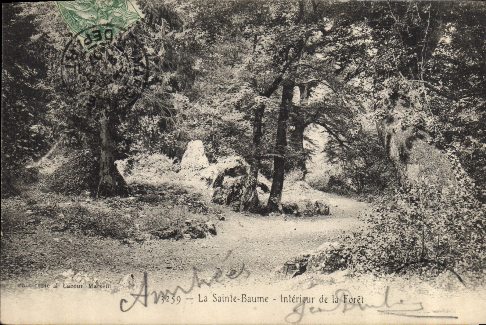 CPA La Sainte Baume Interieur de la Foret