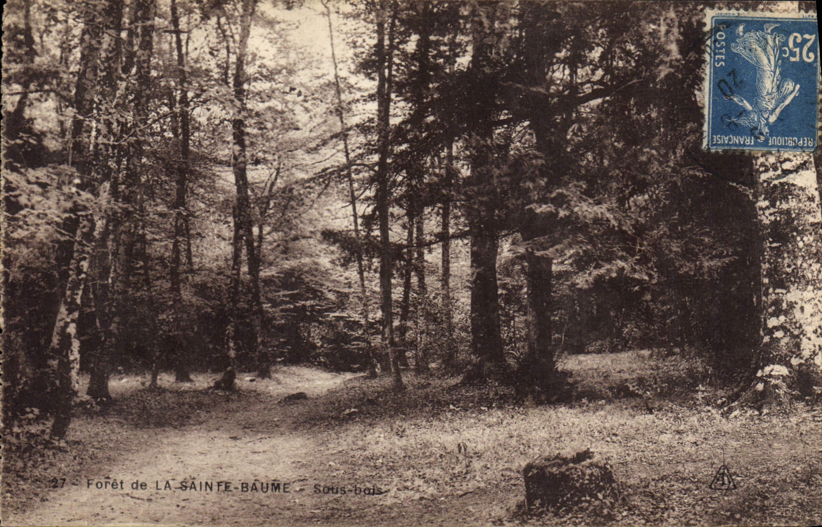 CPA Foret de la La Sainte Baume Sous bois