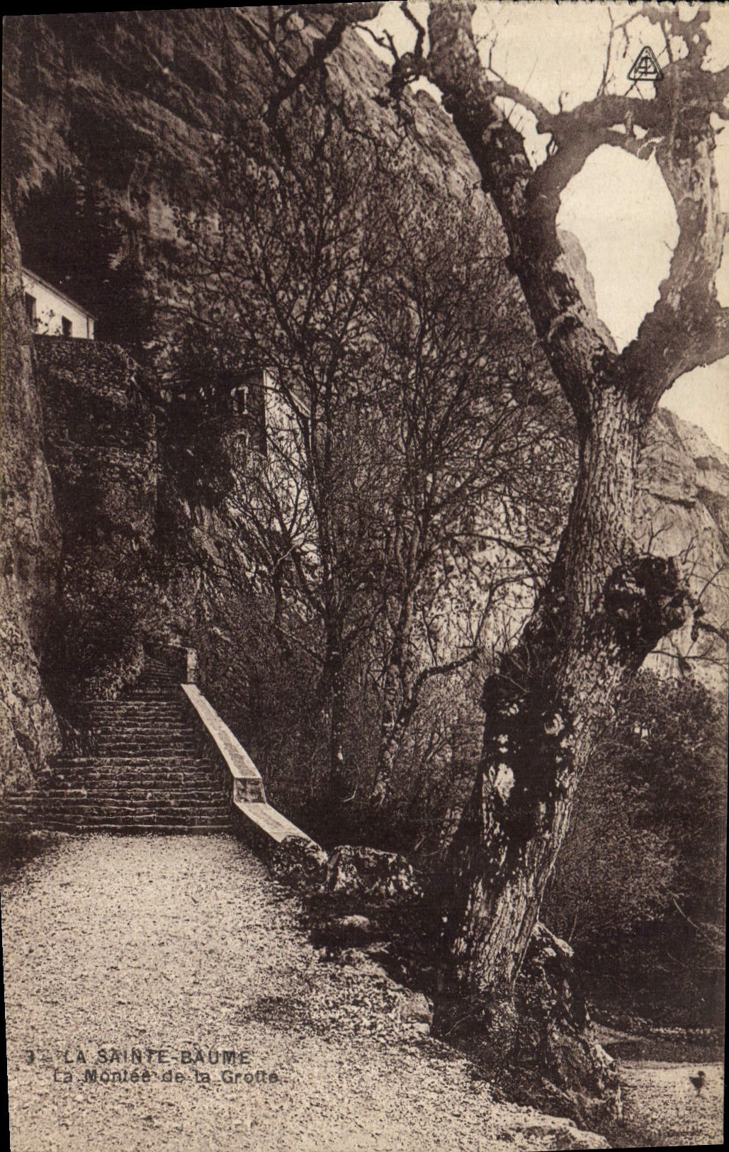 CPA La Sainte Baume La Montee de la Grotte