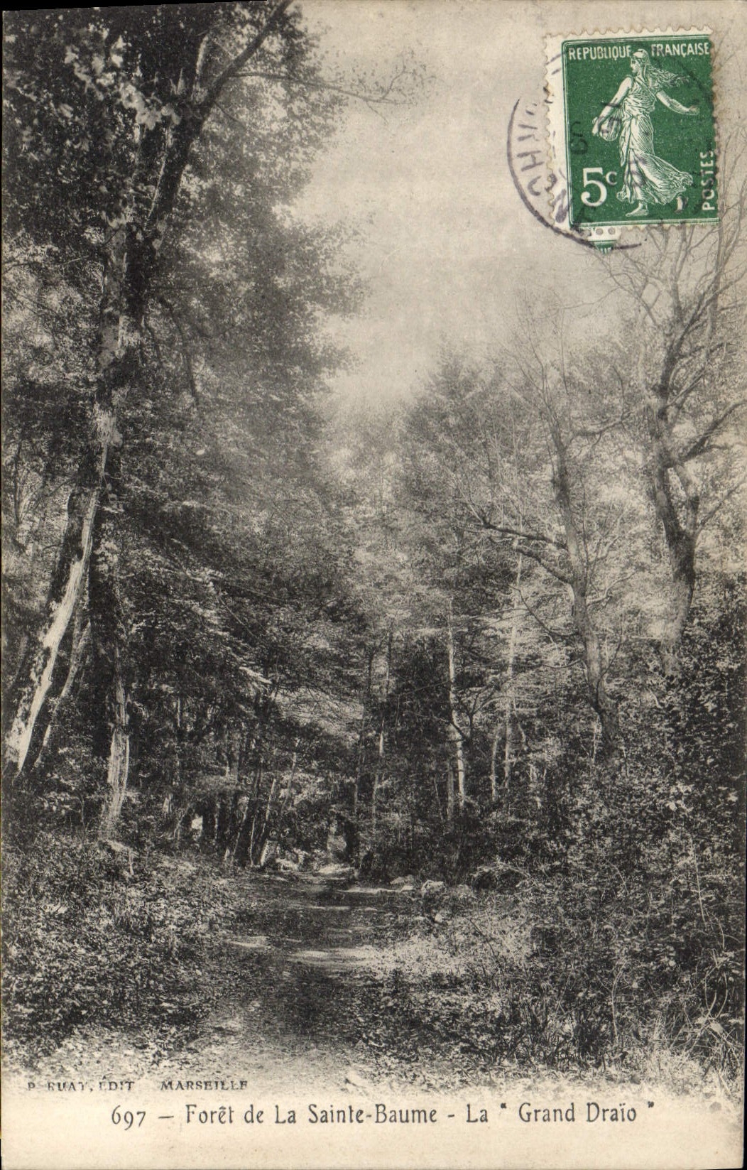 CPA Foret de la Sainte Baume Le Grand Draio