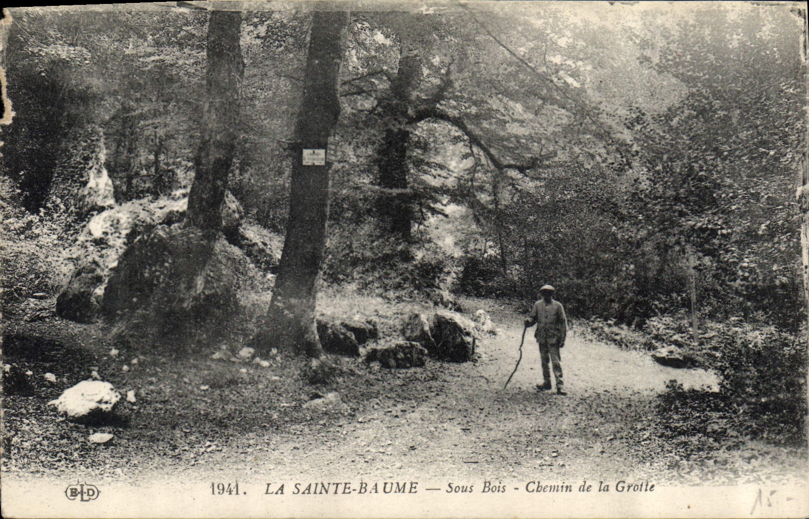 CPA La Sainte Baume Sous Bois de la Grotte