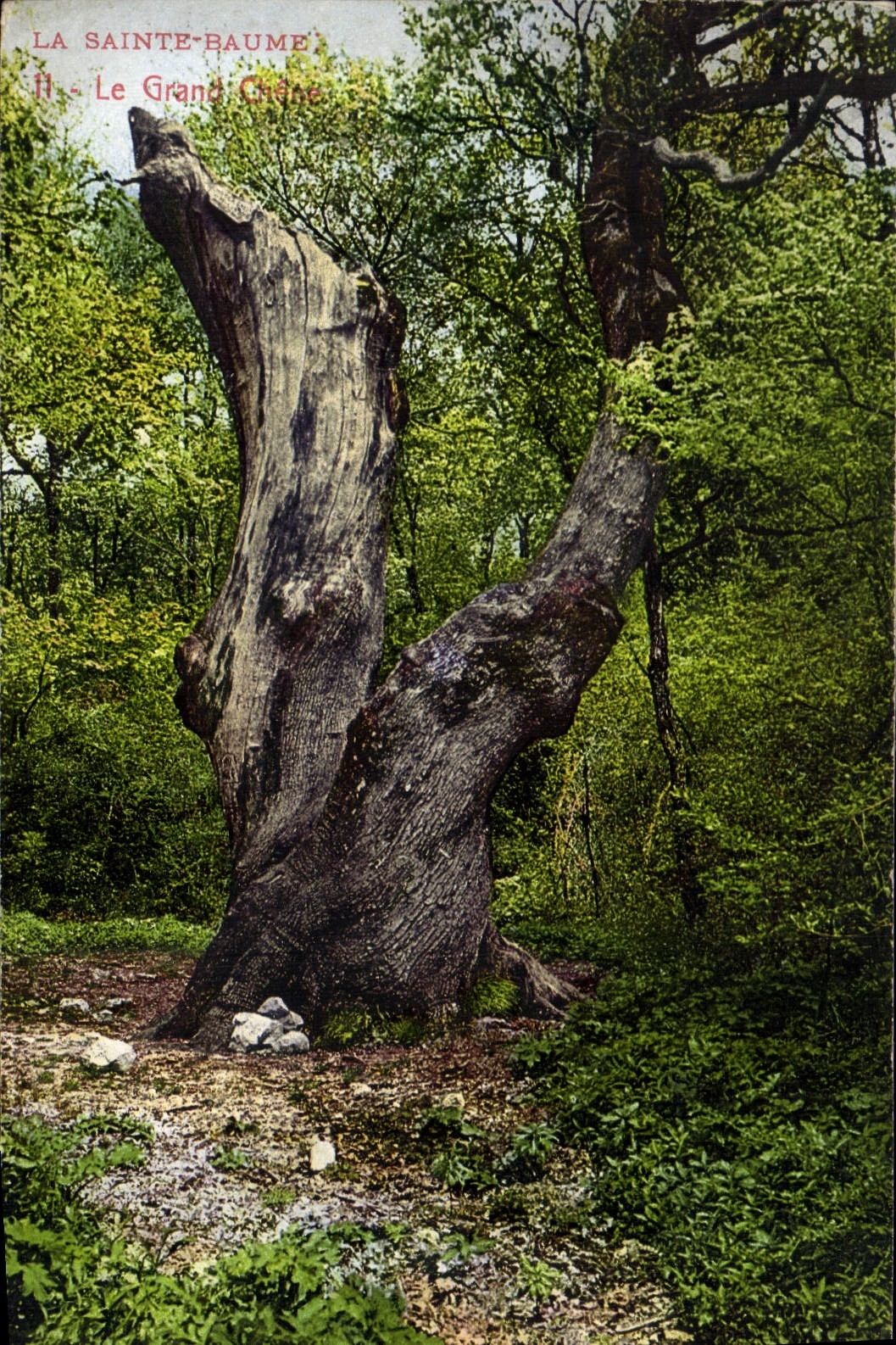 CPA La Sainte Baume Le Grand Grotte