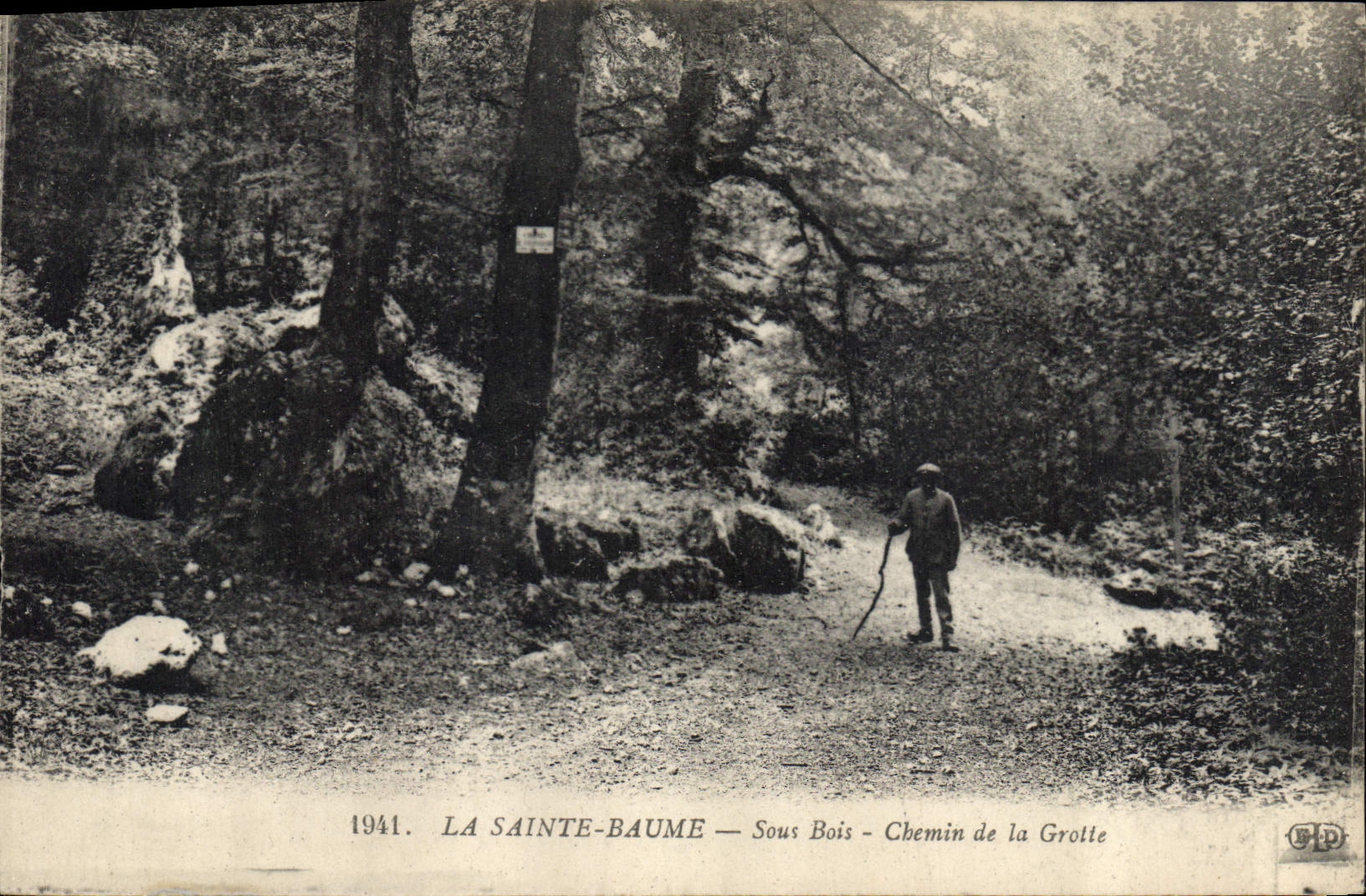 CPA La Sainte Baume Sous Bois Chemin de la Grotte