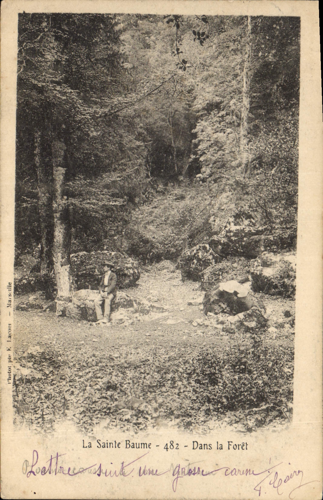 CPA La Sainte Baume Dans la Foret 