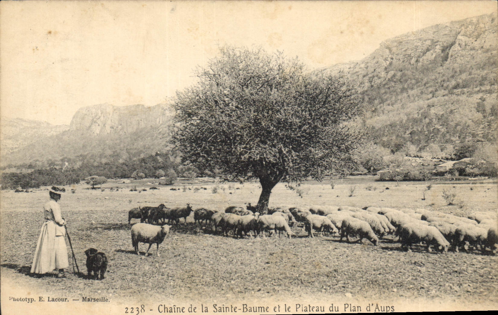 CPA Chaine de la Sainte Baume et le Plateau du Plan d'Aups 