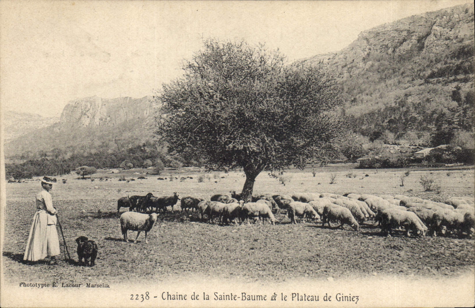 CPA Chaine de la Sainte Baume et le Plateau de Giniez 