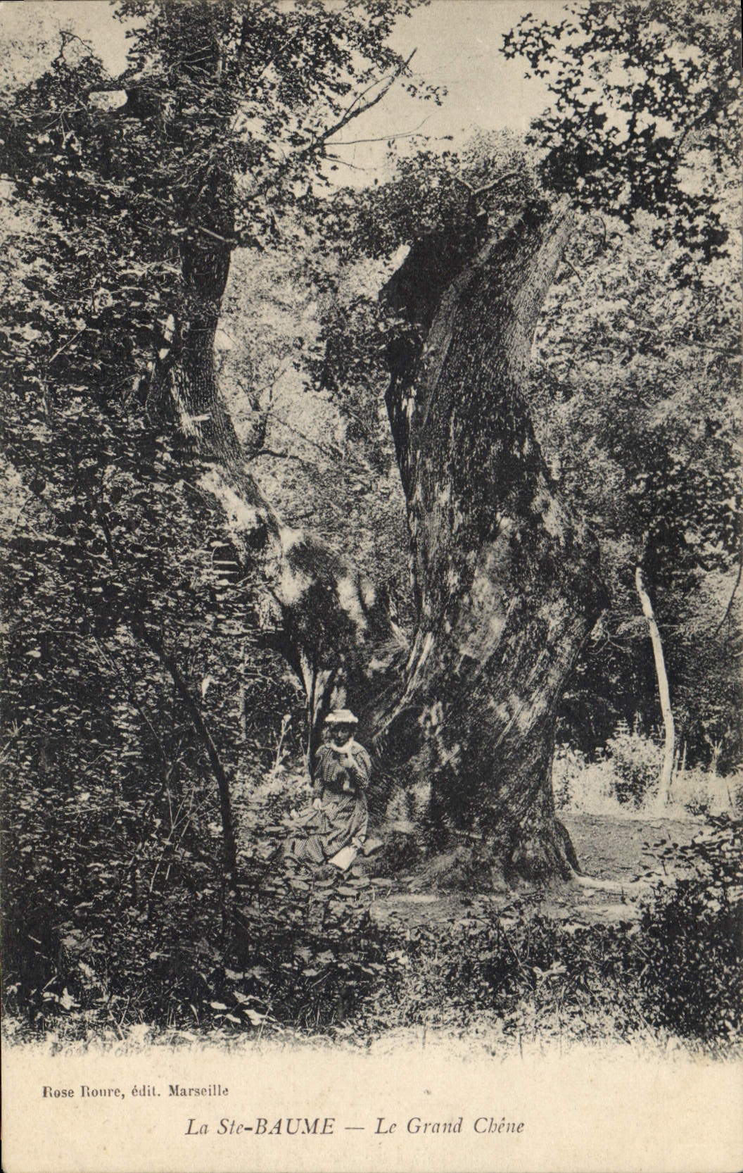 CPA La Ste Baume Le Grand Chene