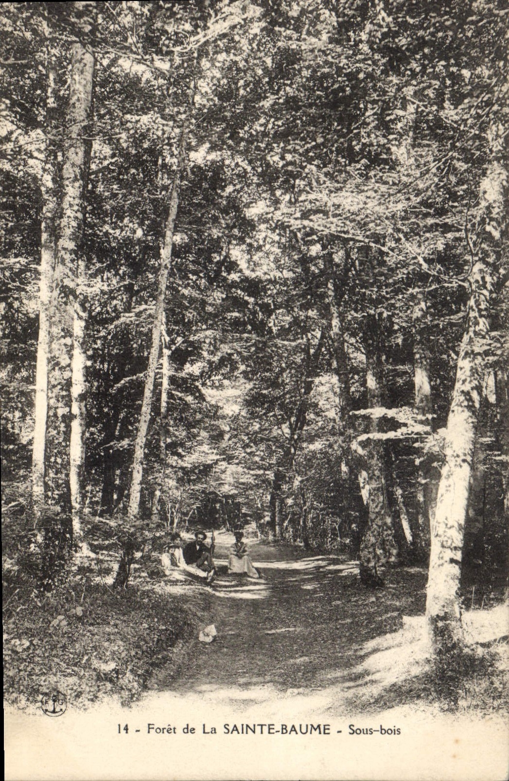 CPA Foret de la Sainte Baume Sous bois