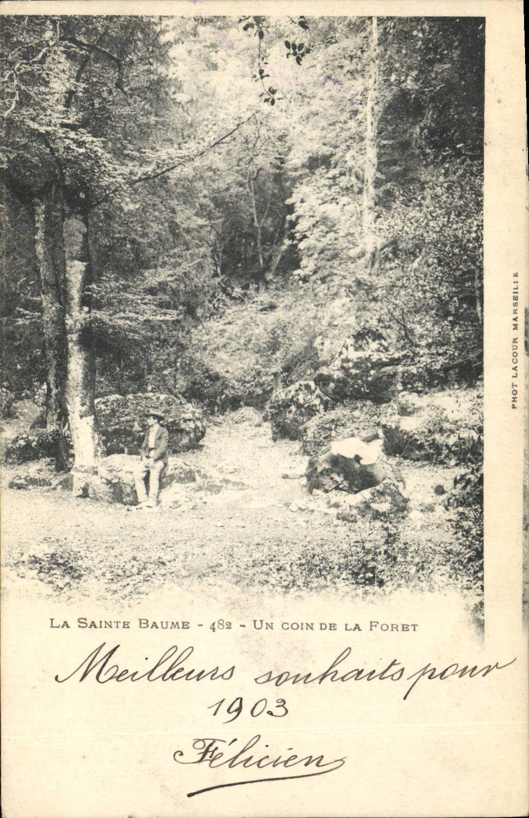 CPA La Sainte Baume Un coin de la Foret 