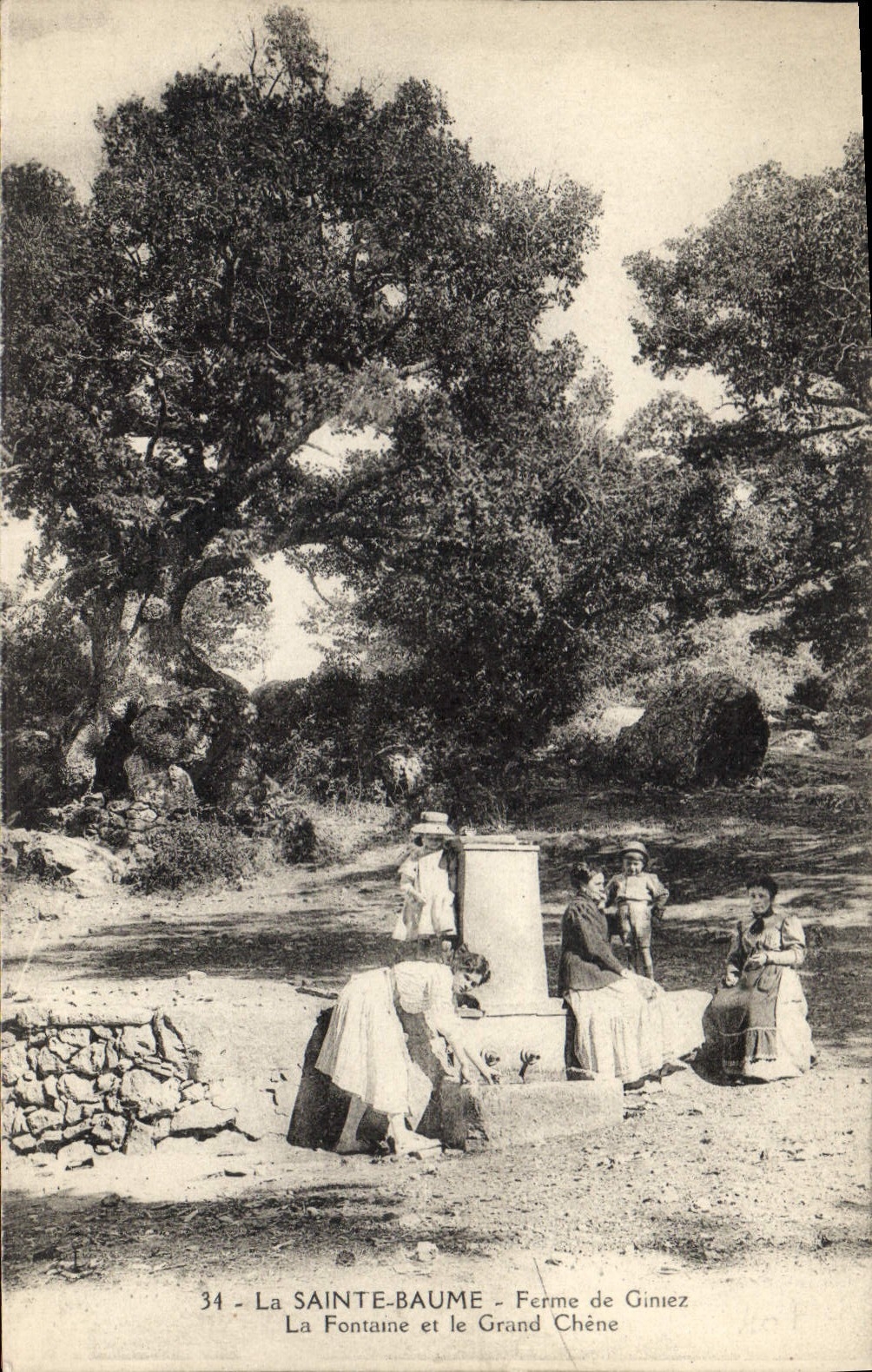 CPA La Sainte Baume Ferme de Giniez La Fontaine et le Grand Chene 