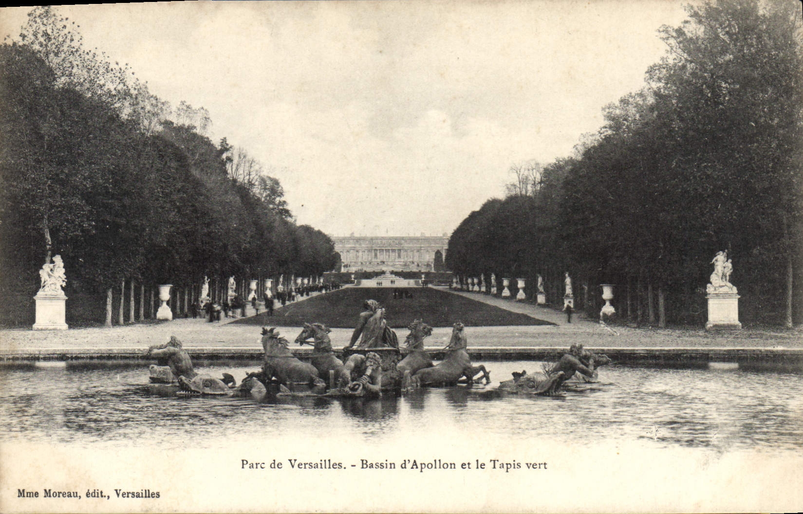CPA Parc de Versailles Bassin d'Apollon et le Tapis Vert 