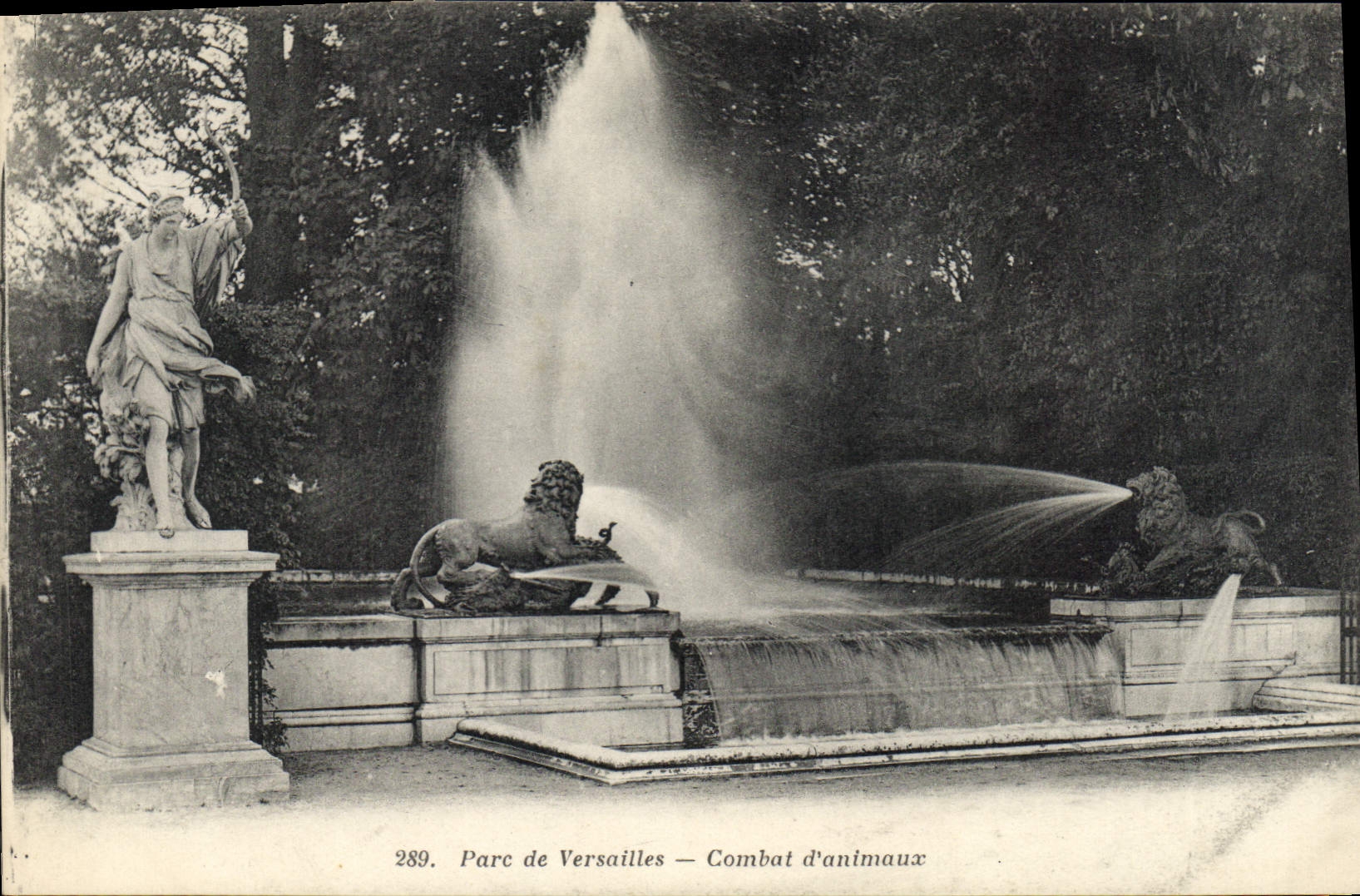 CPA Parc de Versailles Combat d'animaux 
