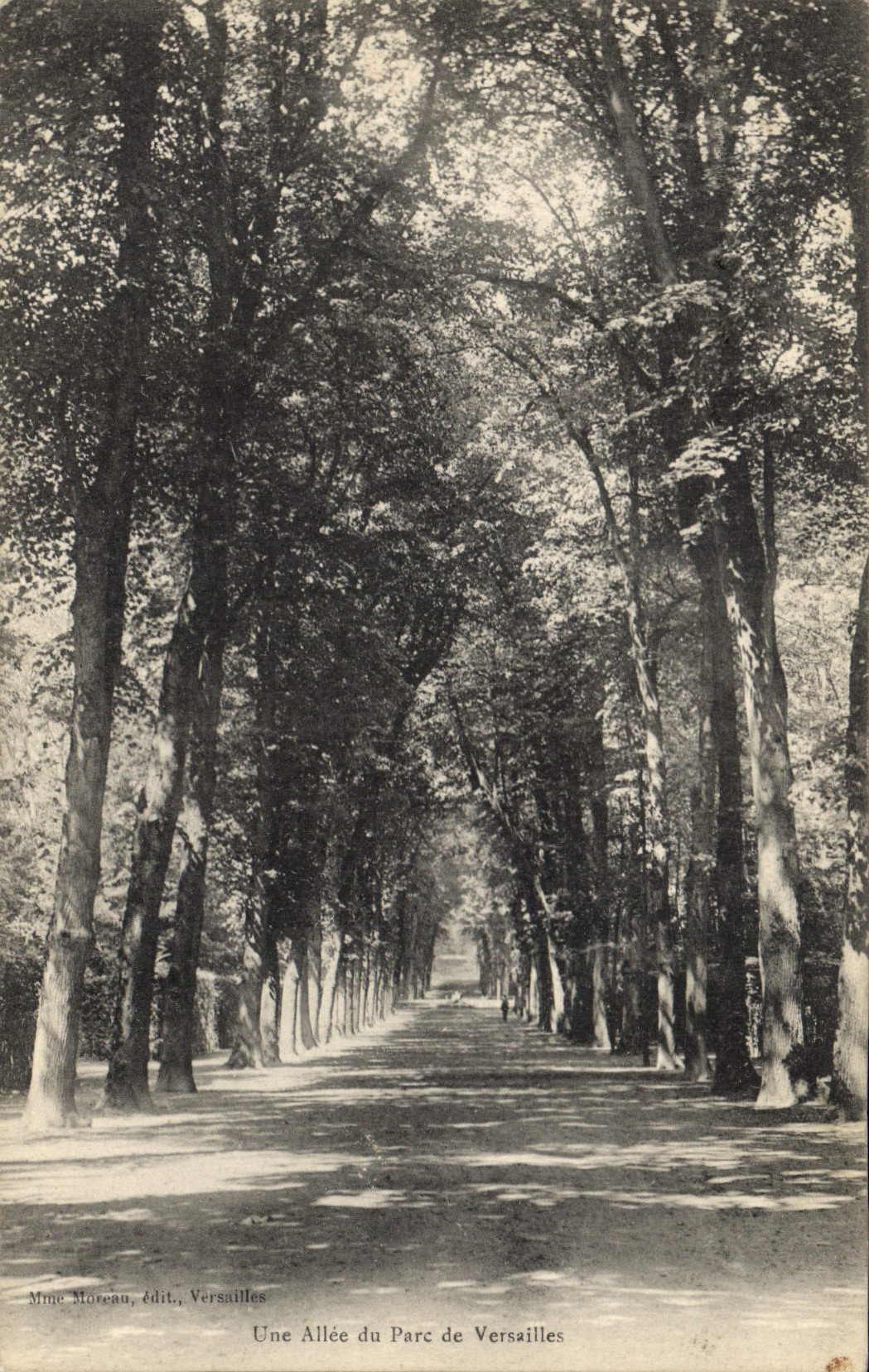 CPA Une Allee du Parc de Versailles 