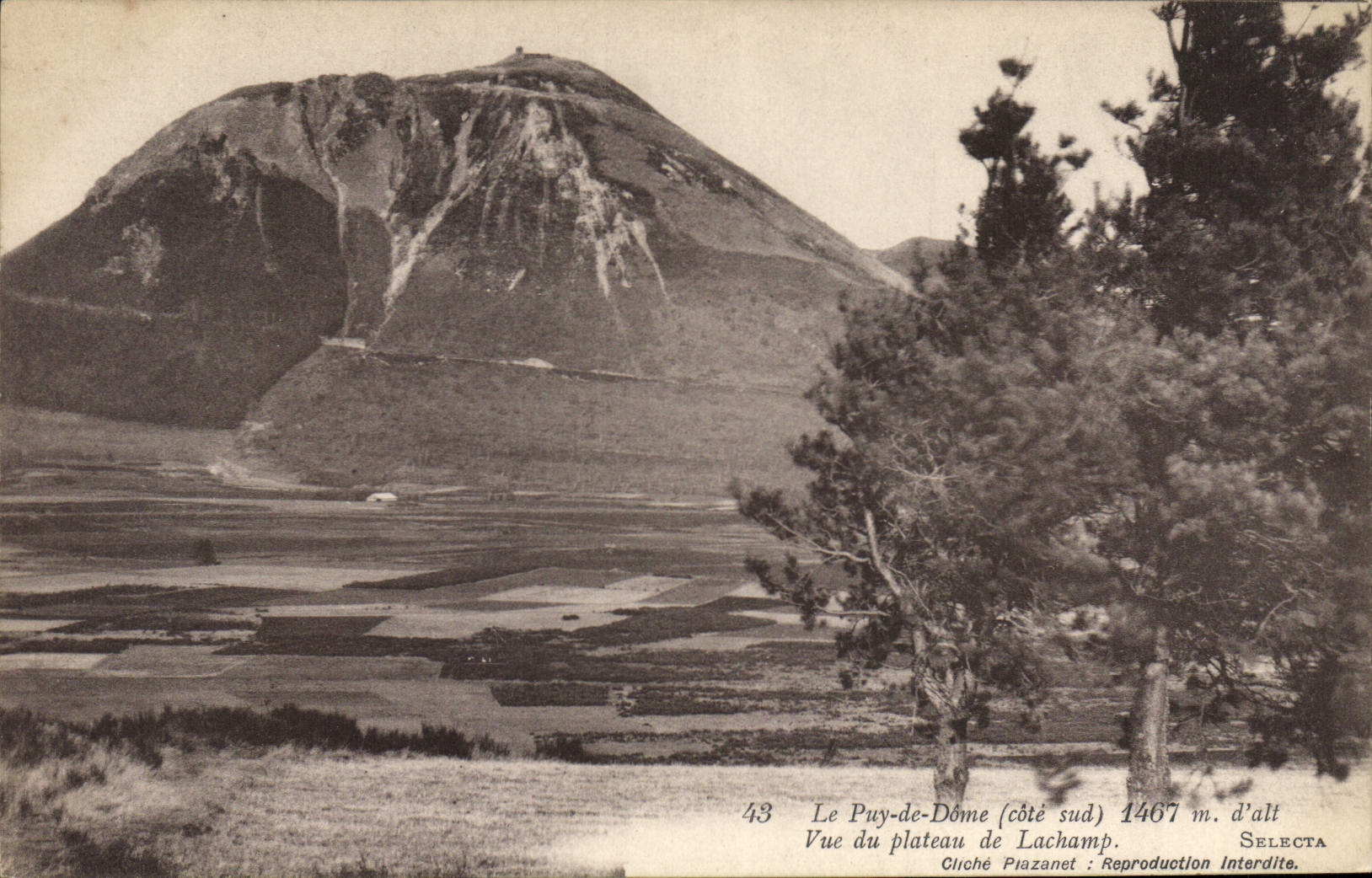 CPA Le Puy de Dome cote sud Vue du plateau de Lachamp 