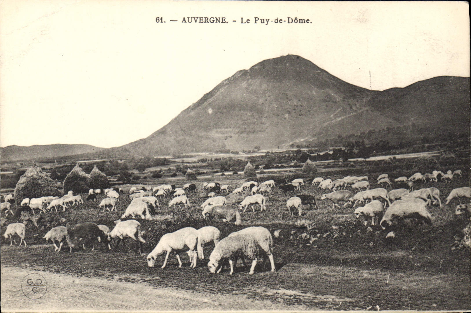 CPA Auvergne Le Puy de Dome Moutons
