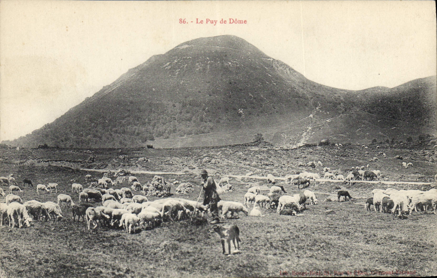 CPA Le Puy de Dome Berger Moutons