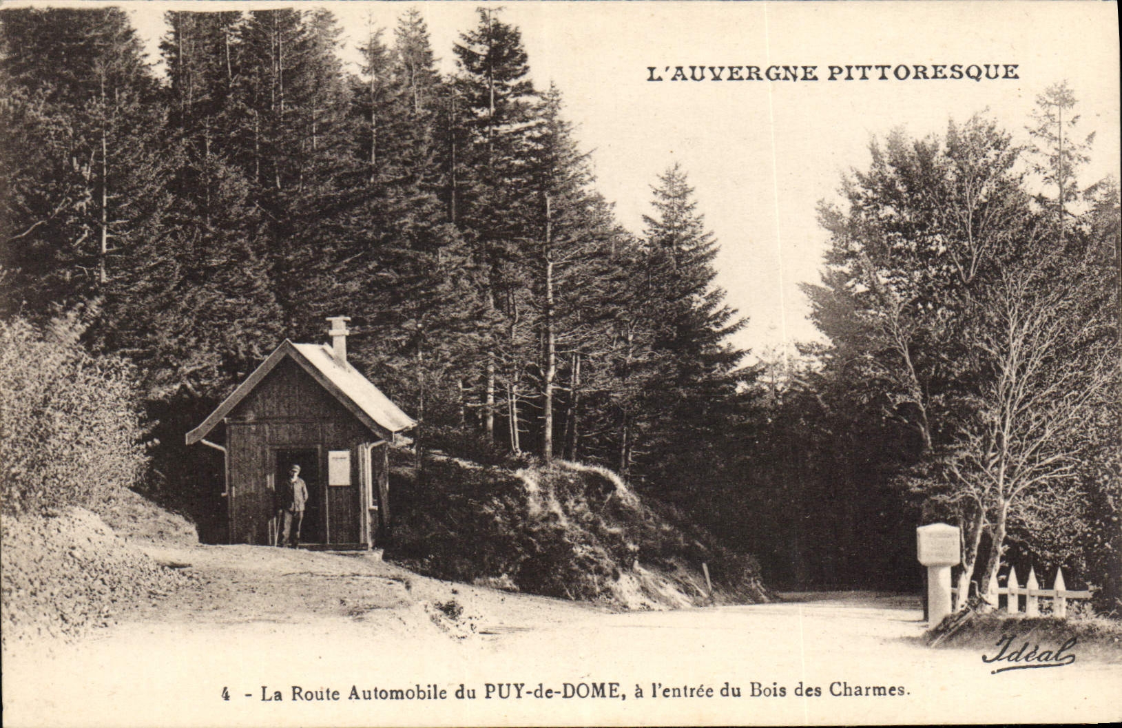 CPA L'Auvergne Pittoresque La Route Automobile du Puy de Dome a l'entree du Bois des Charmes 