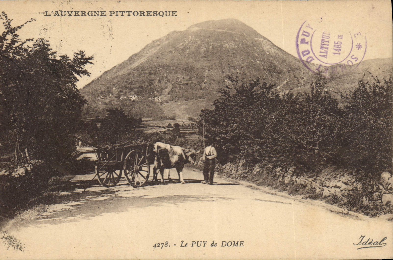 CPA Le Puy de Dome Bœufs Attelage