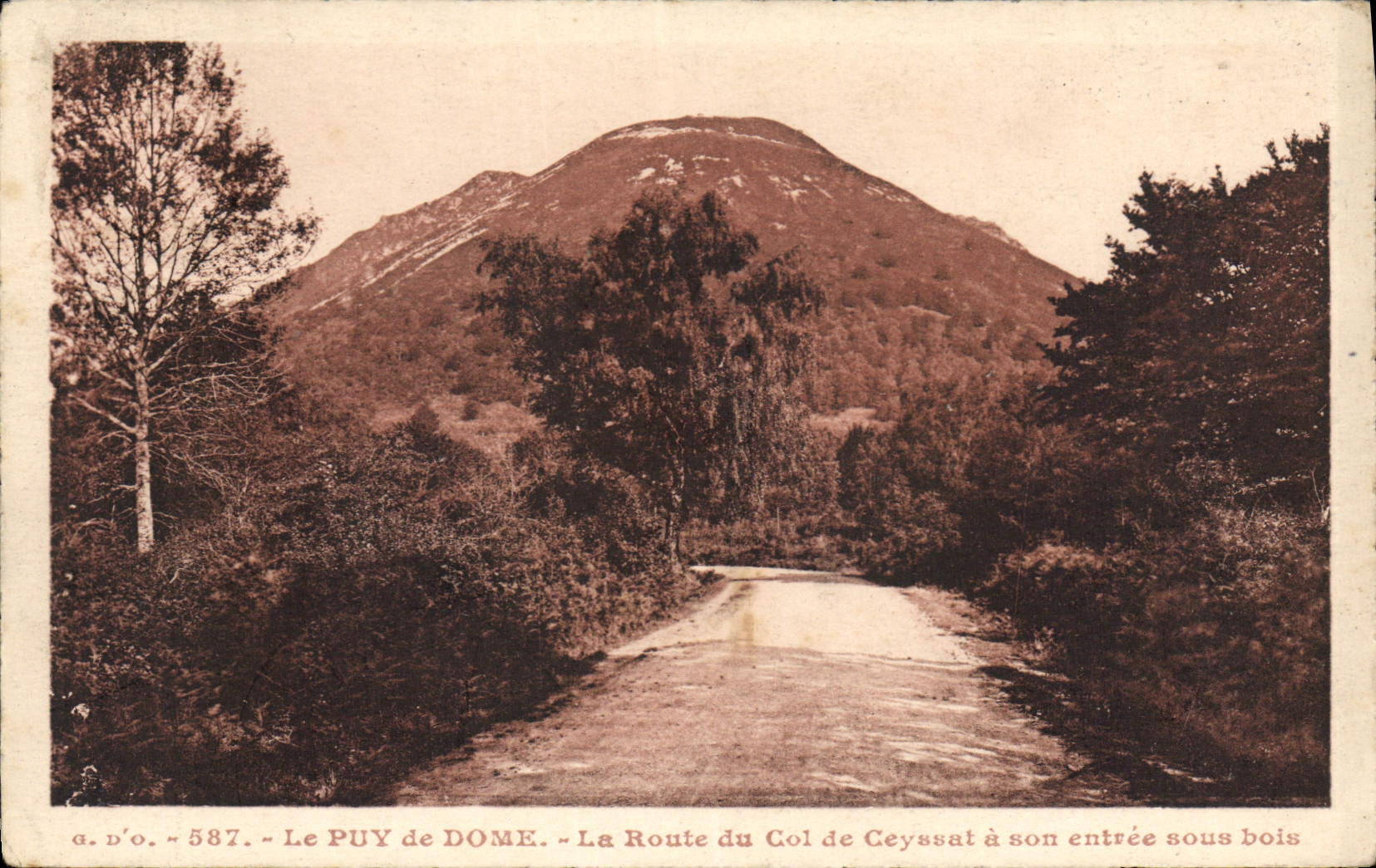 CPA Le Puy de Dome La Route du Col de Ceyssat a son entree sous bois 
