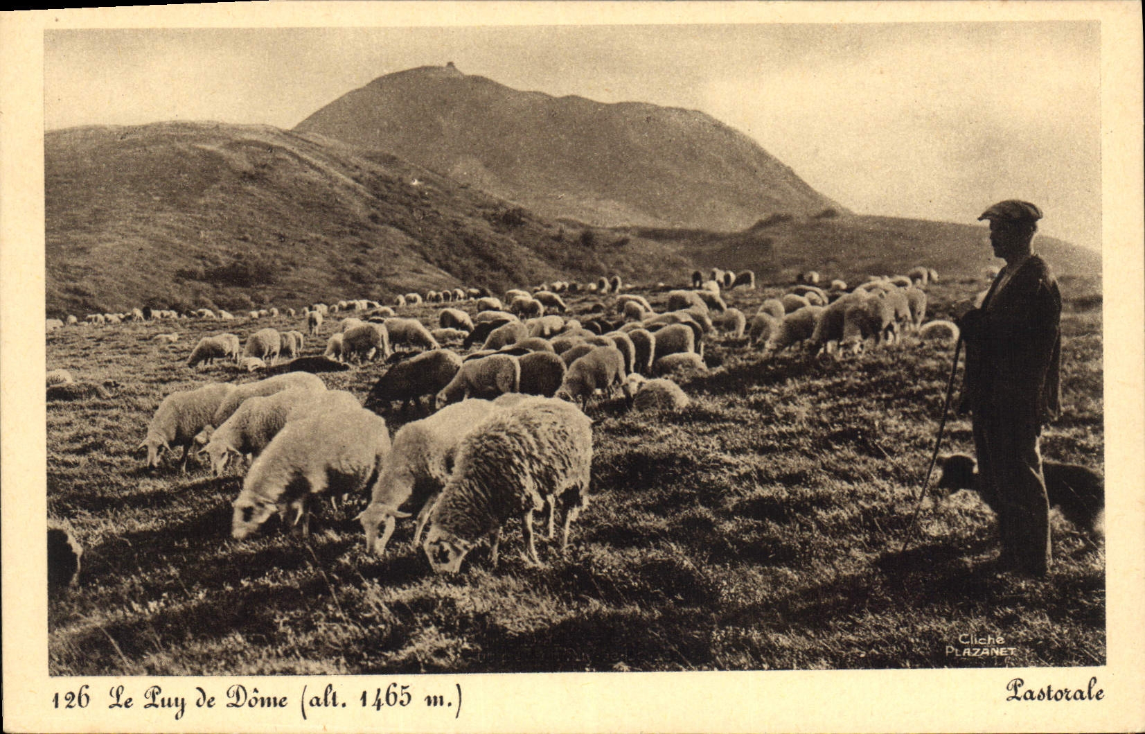 CPA Le Puy de Dome Pastorale Berger Moutons