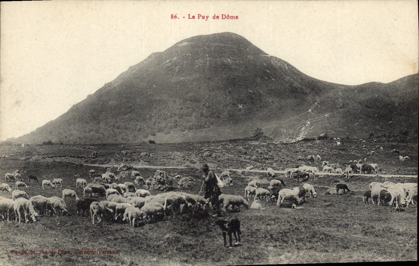 CPA Le Puy de Dome Berger Moutons