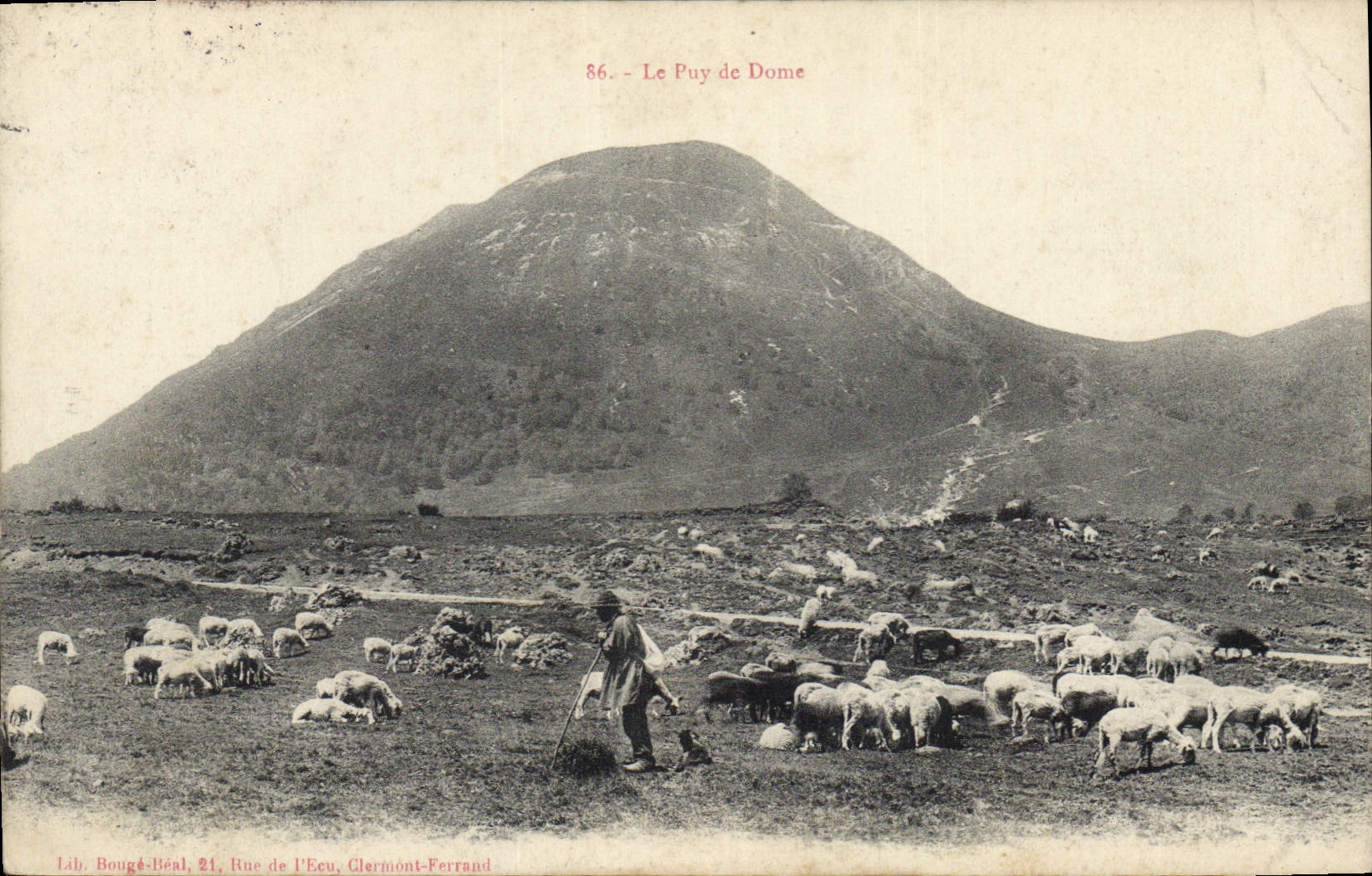 CPA Le Puy de Dome Berger Moutons