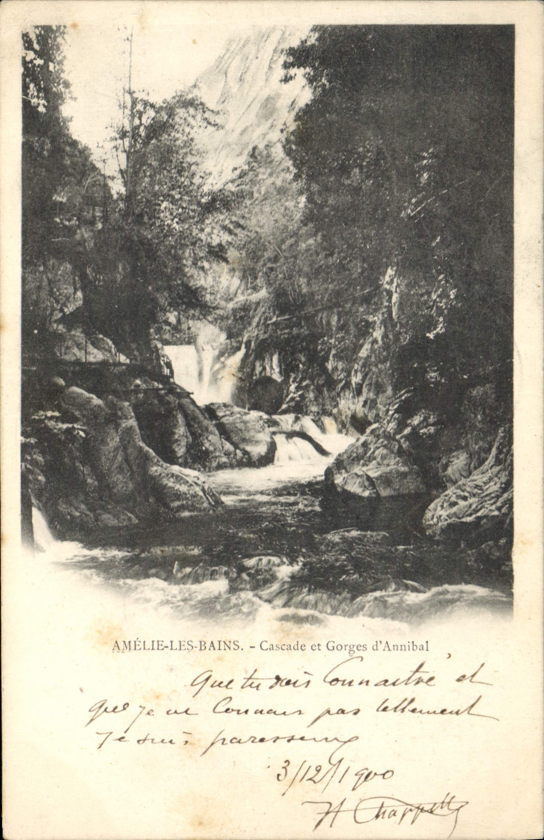 CPA Amelie les Bains Cascade et George d'Annibal