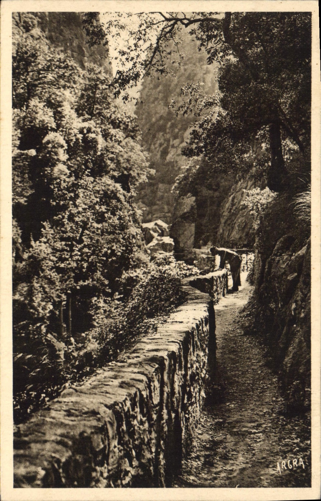CPA Amelie les Bains PO Gorges du Mondony
