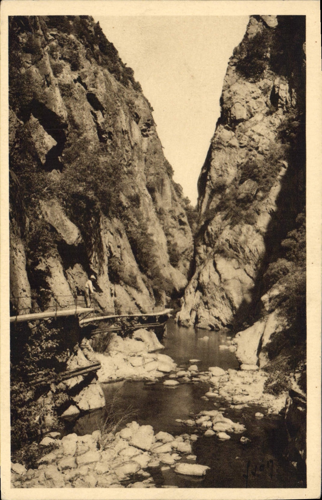CPA Amelie les Bains Pyr Or Gorges du Mondony