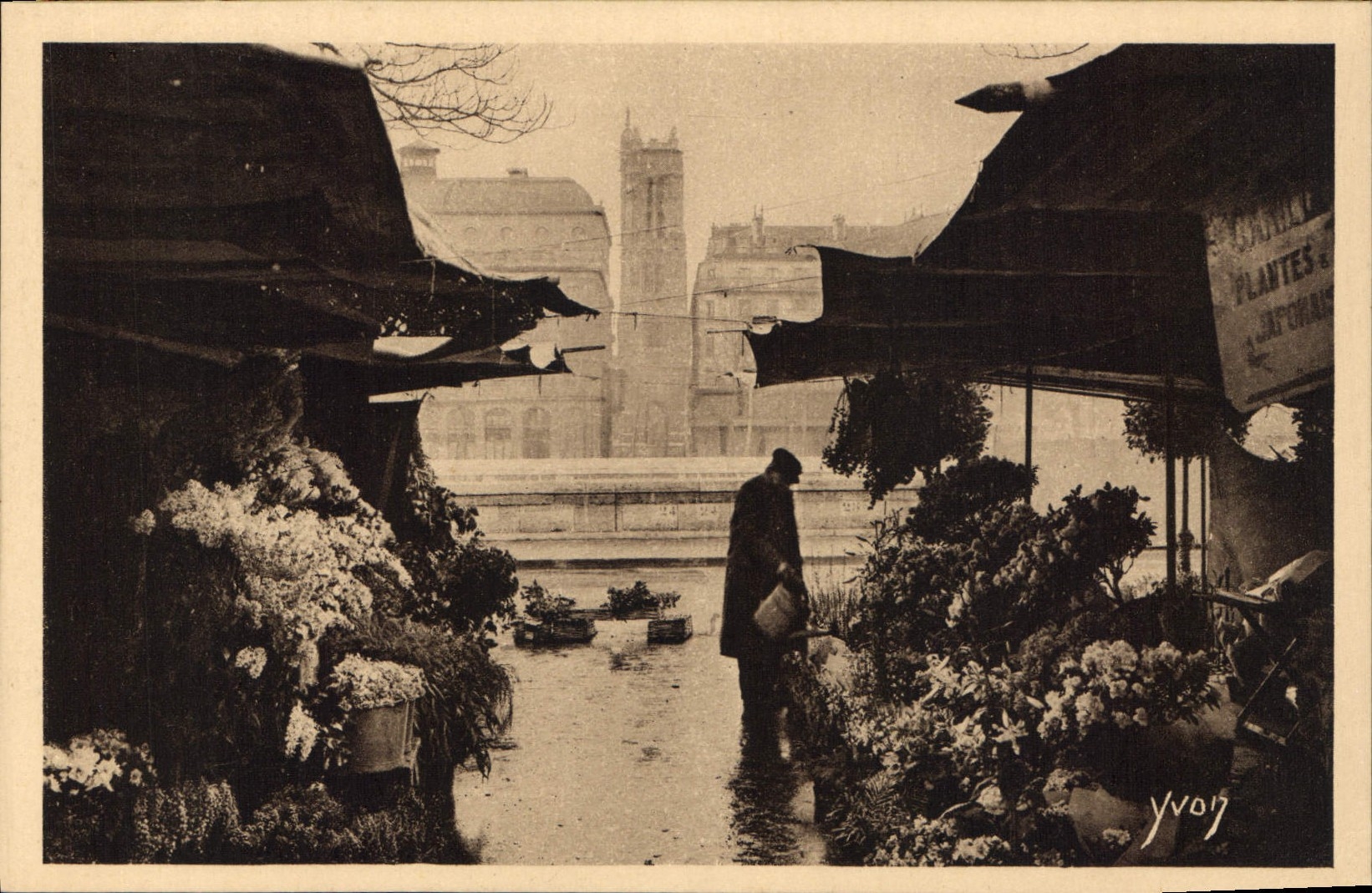 CPA Paris Le Marche aux Fleurs 