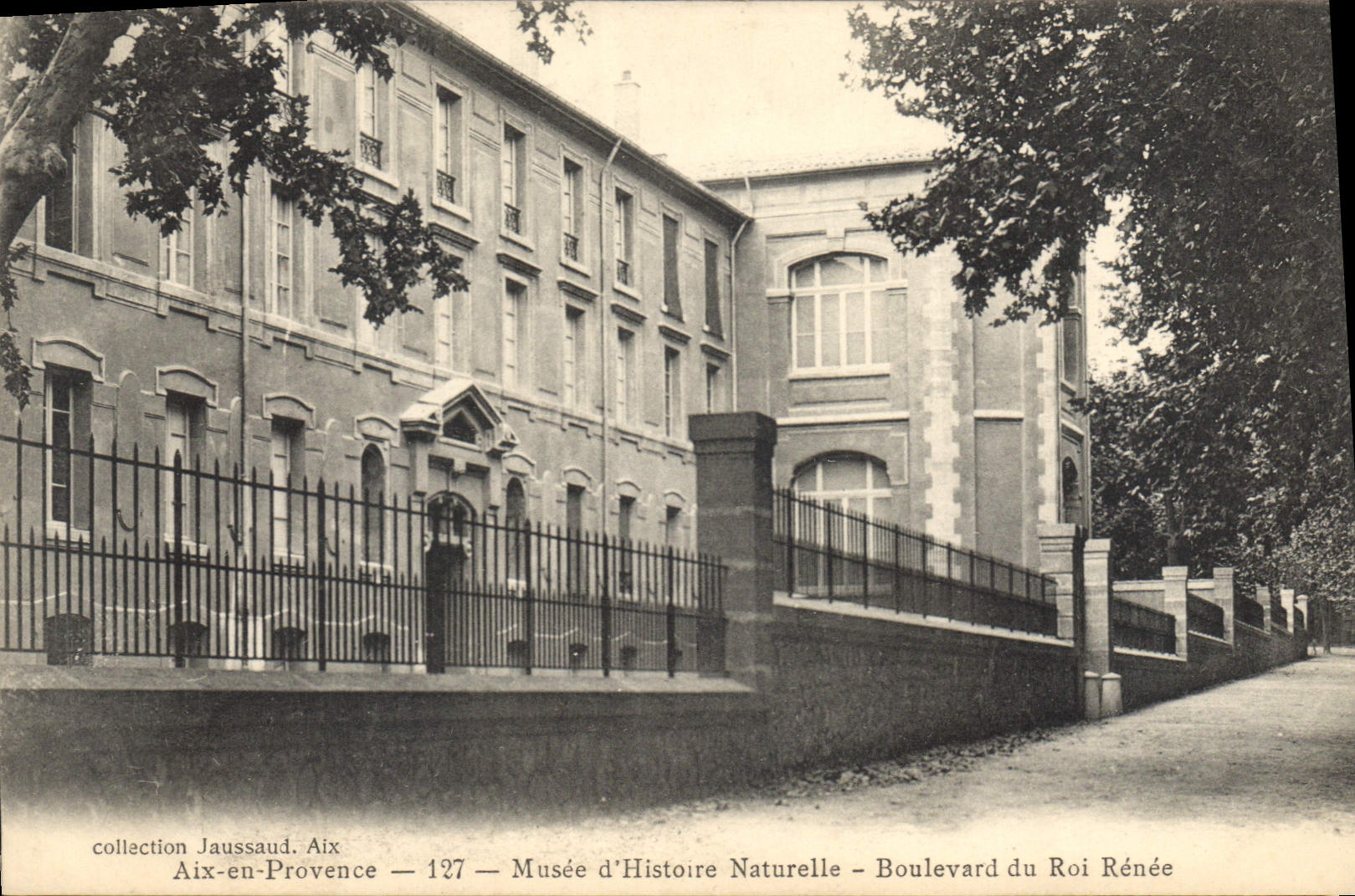 CPA Aix en Provence Musee d'Histoire Naturelle Boulevard du Roi Renee