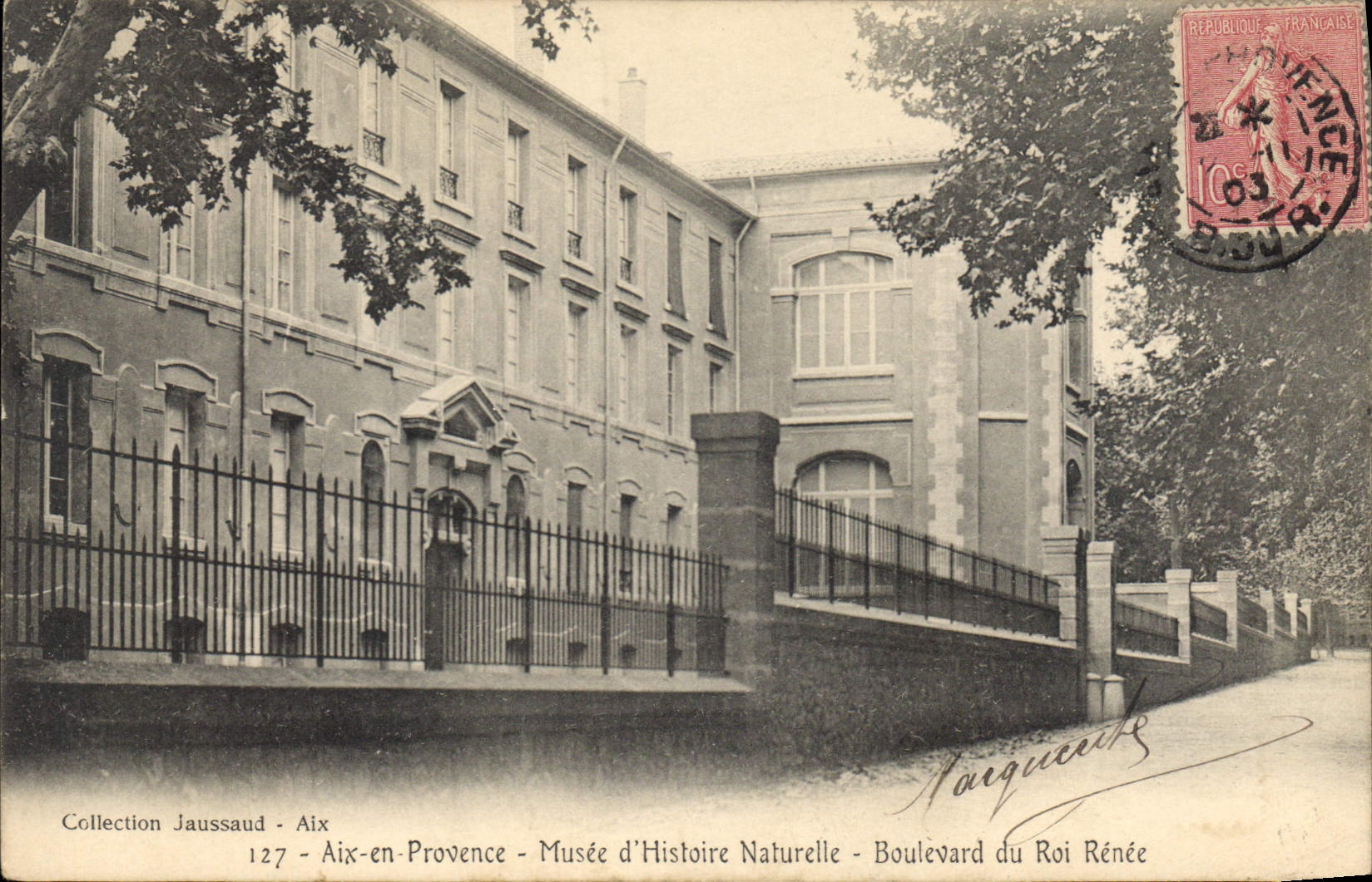 CPA Aix en Provence Musee d'Histoire Naturelle Boulevard du Roi Renee 
