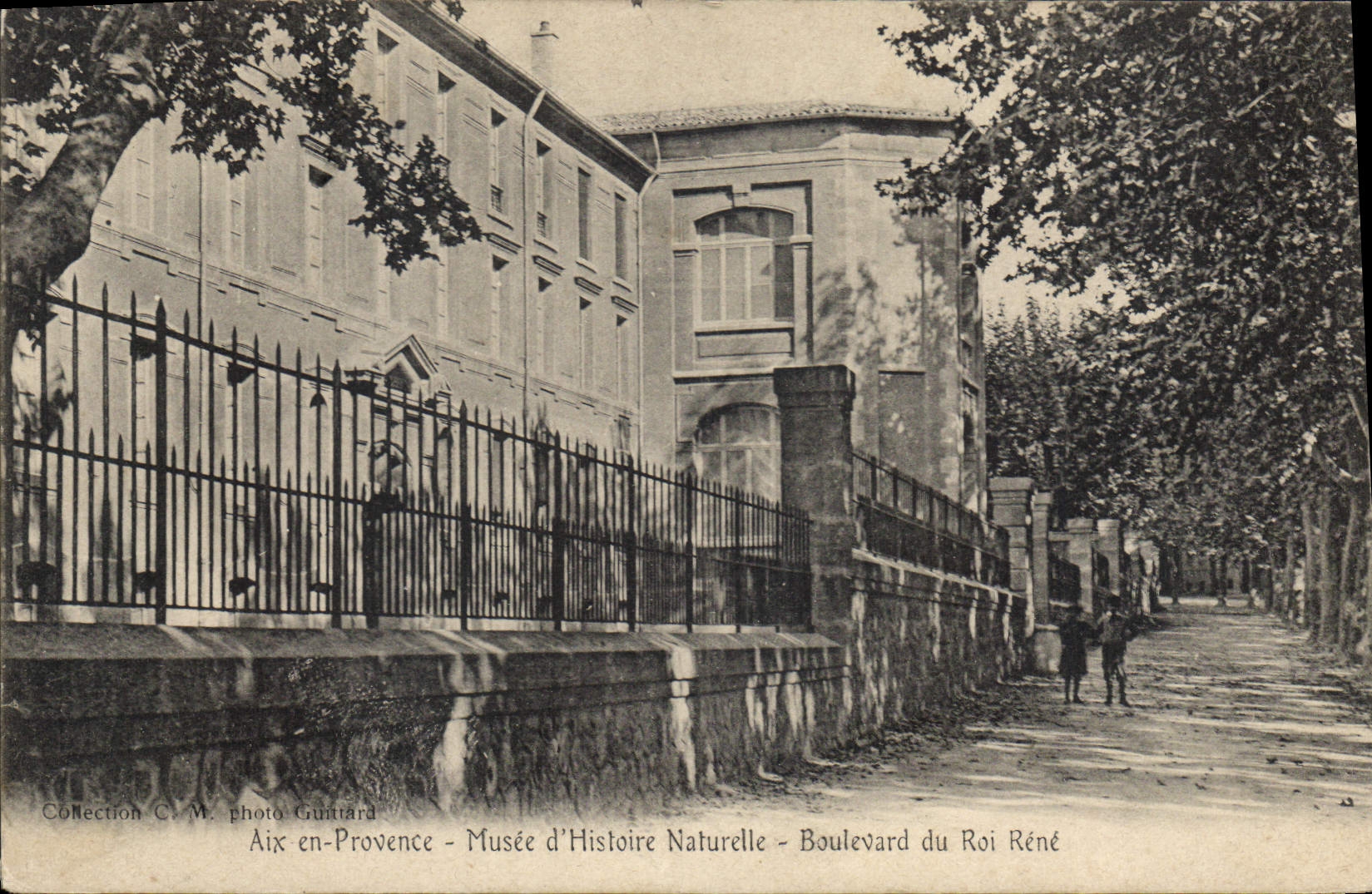 CPA Aix en Provence Musee d'Histoire Naturelle Boulevard du Roi Renee