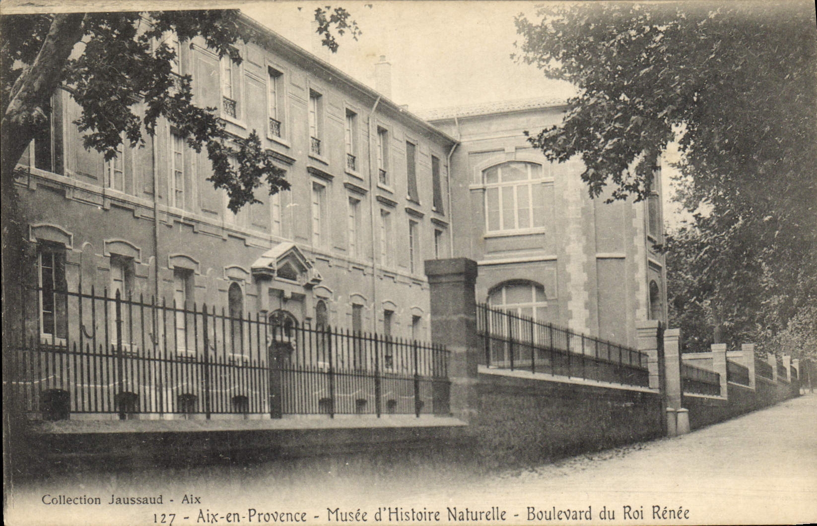 CPA Aix en Provence Musee d'Histoire Naturelle Boulevard du Roi Renee