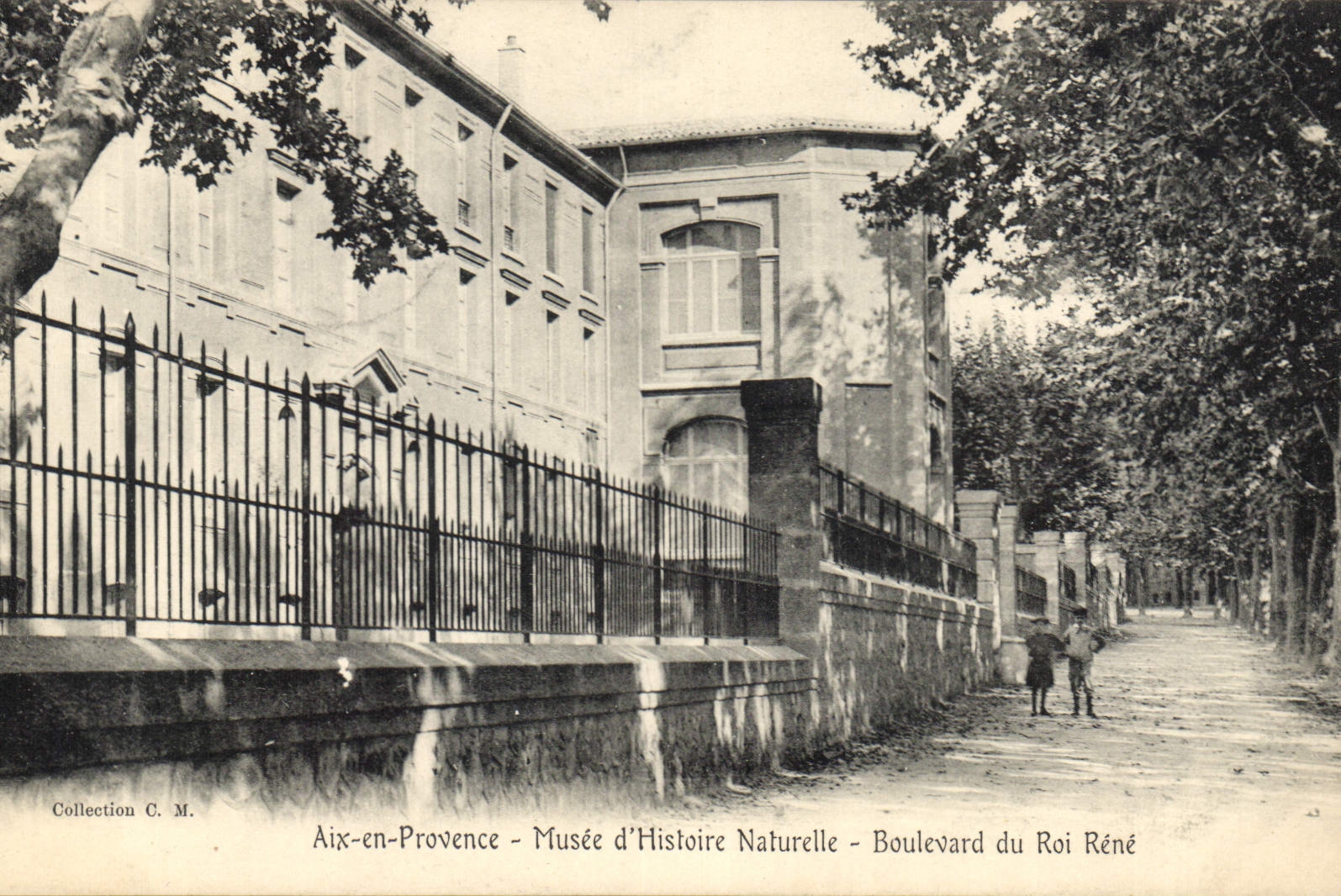 CPA Aix en Provence Musee d'Histoire Naturelle Boulevard du Roi Rene