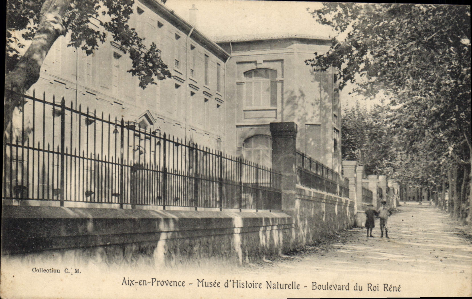 CPA Aix en Provence Musee d'Histoire Naturelle Boulevard du Roi Rene 