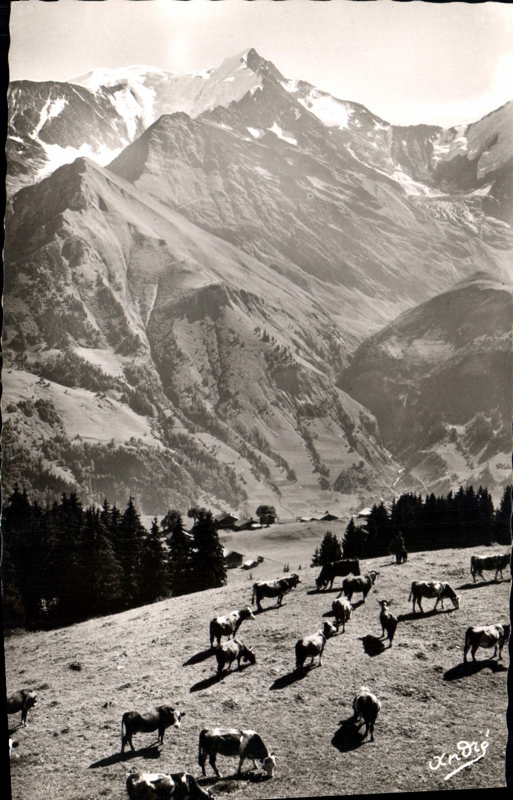 CPA Les Belles Alpes Francaises Paysages Alpestres Paturage